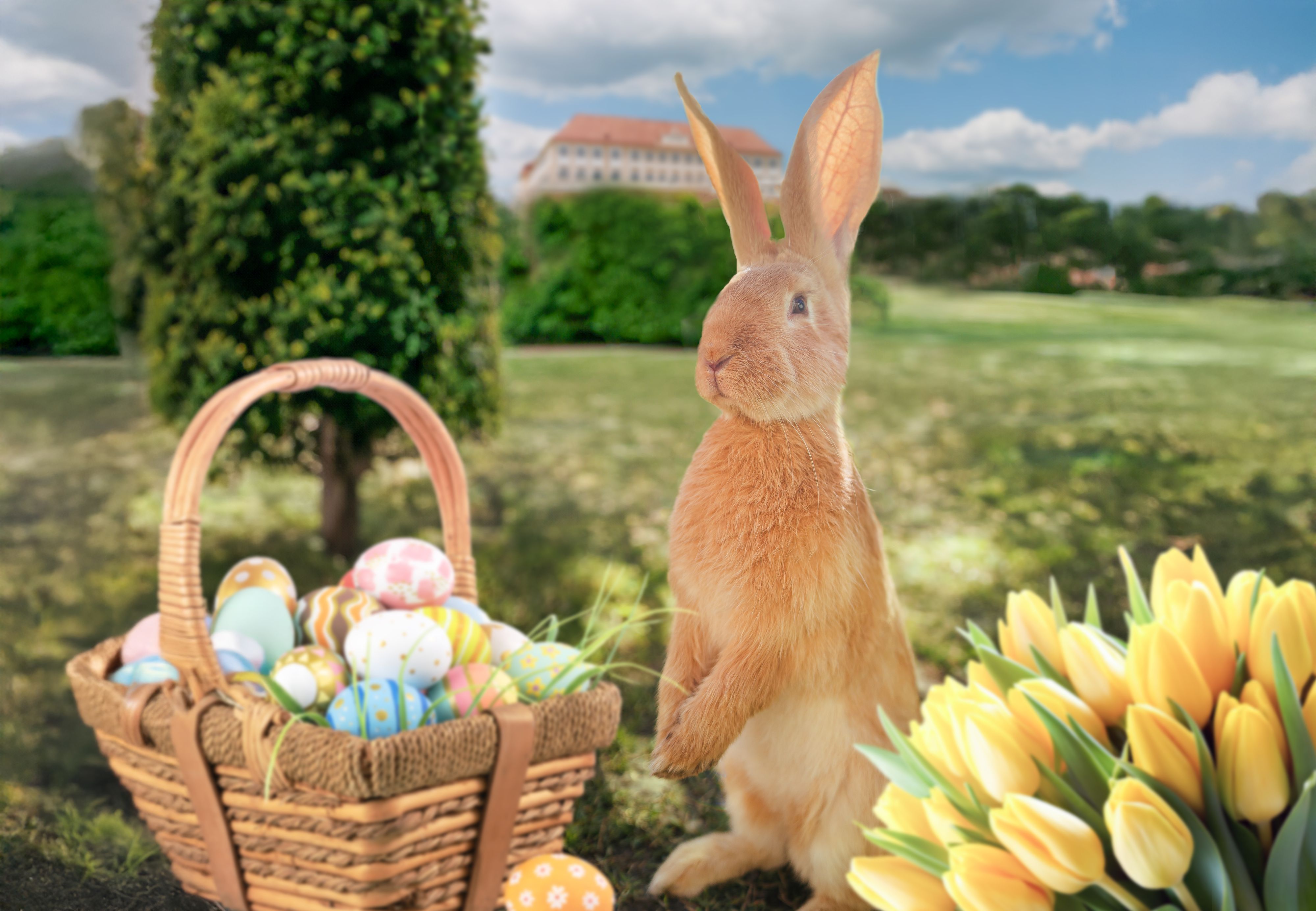 Ostermarkt auf Schloss Hof