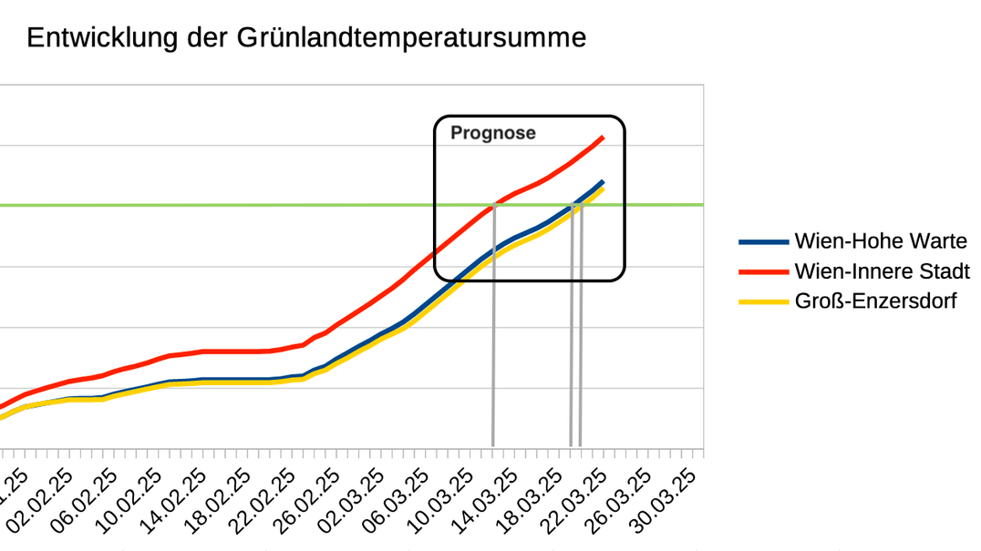 Nächstes Wochenende könnten die Bäume schon austreiben.