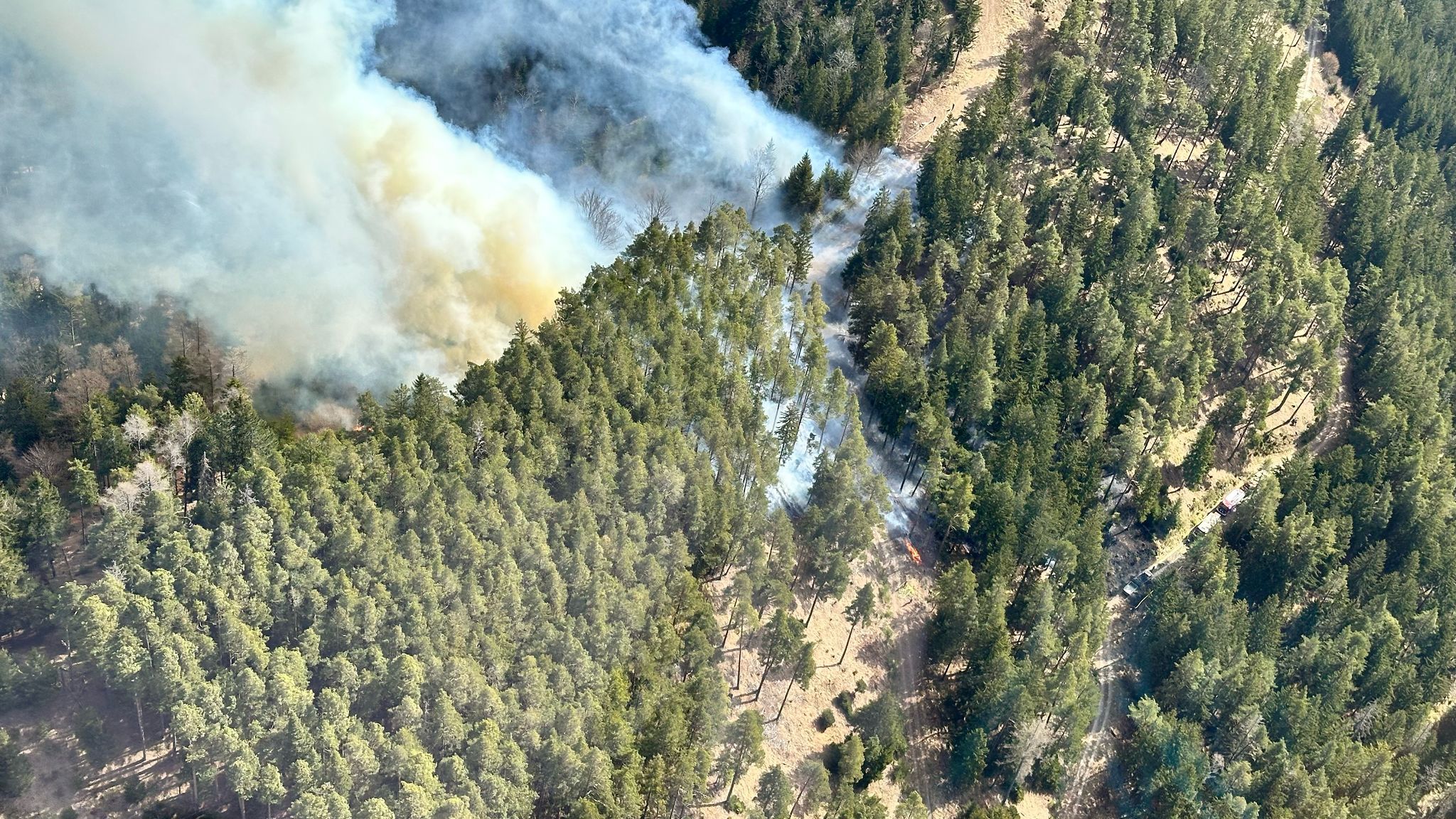 In Niederösterreich kämpften zahlreiche Einsatzkräfte gegen einen Waldbrand an.