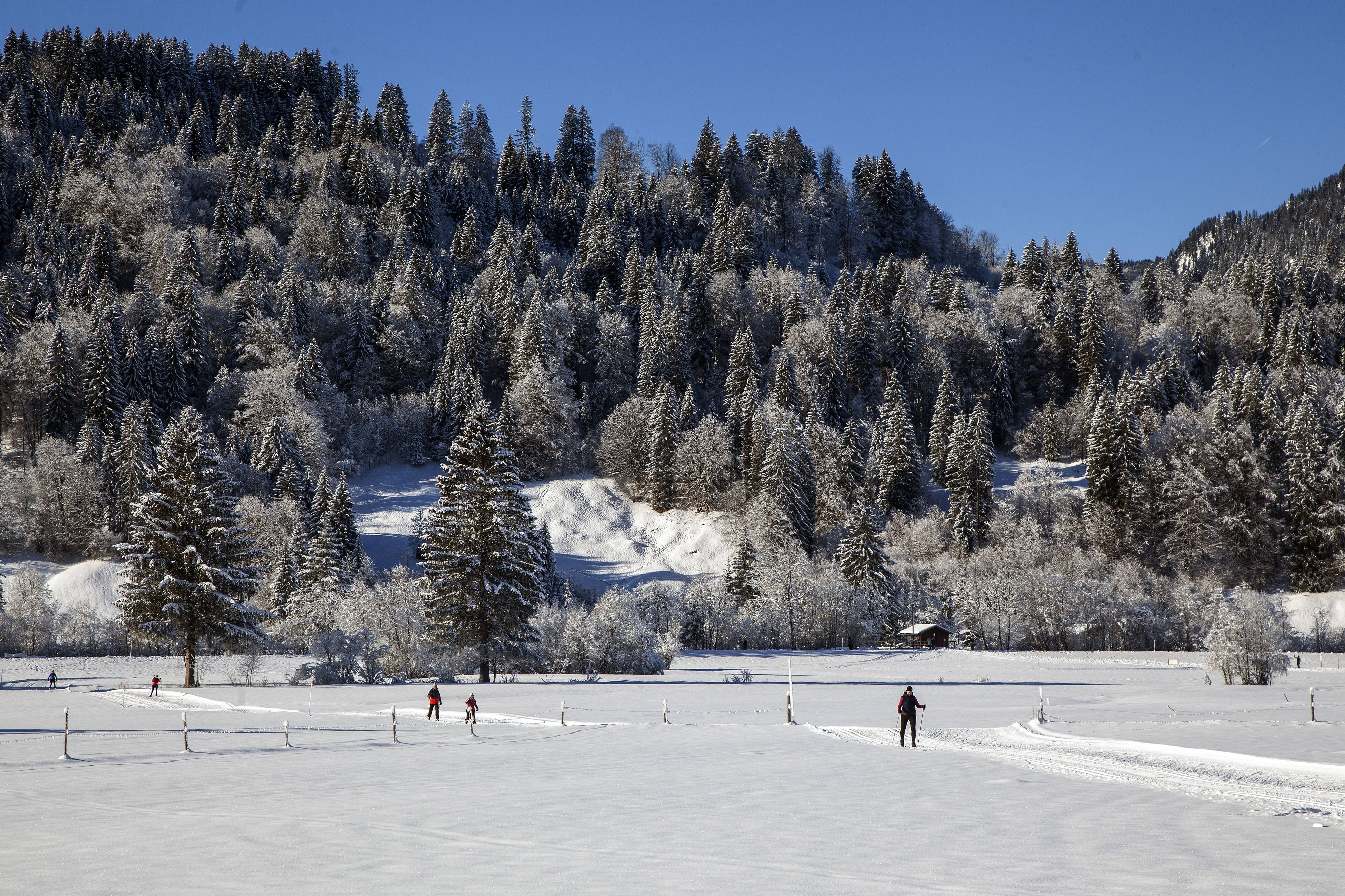 Der Hund attackierte den Langläufer auf einer Loipe. Symbolbild.