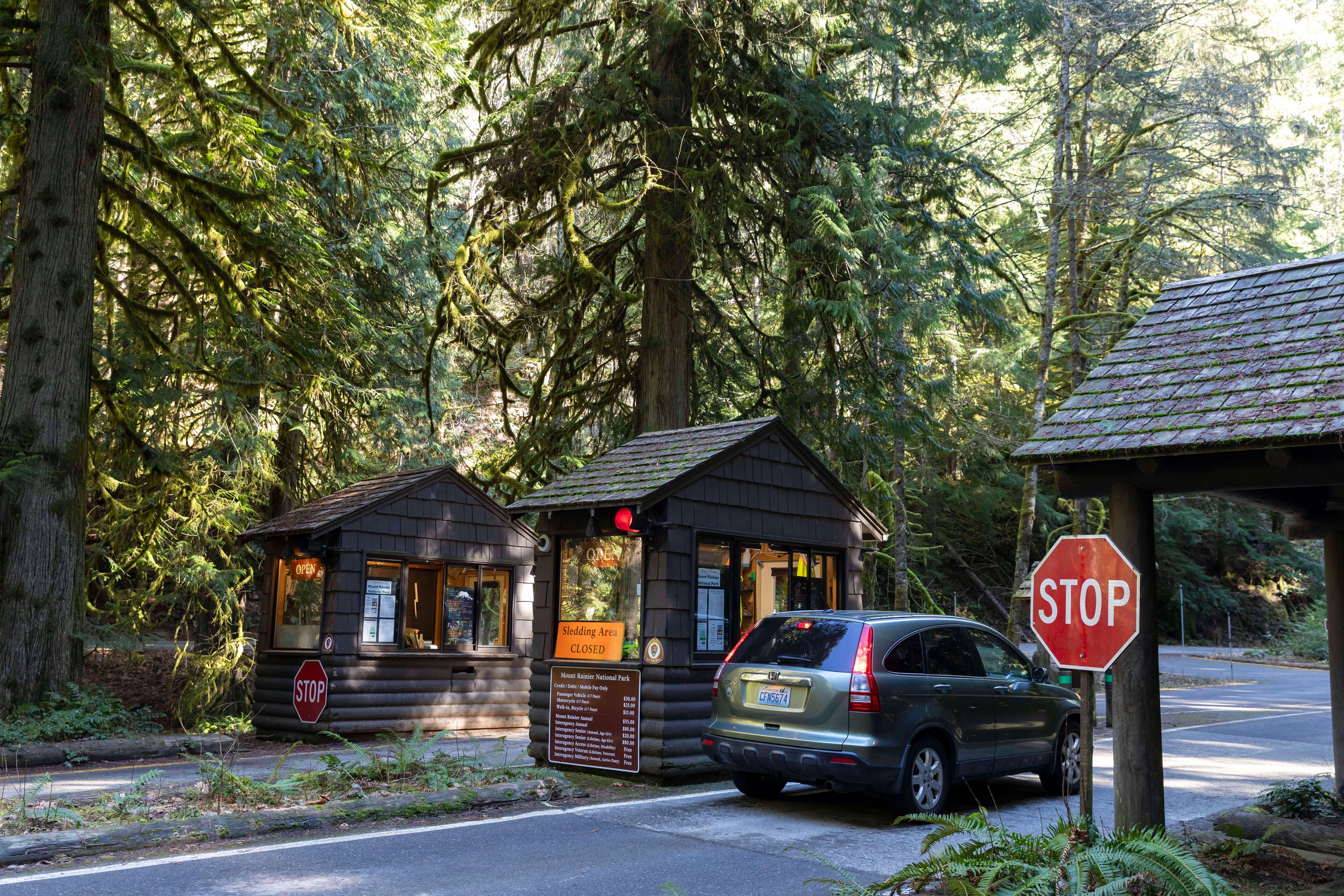 Donald Trump will mit Rodungen im eigenen National-Wald Holzimporte aus dem Ausland ersetzen.