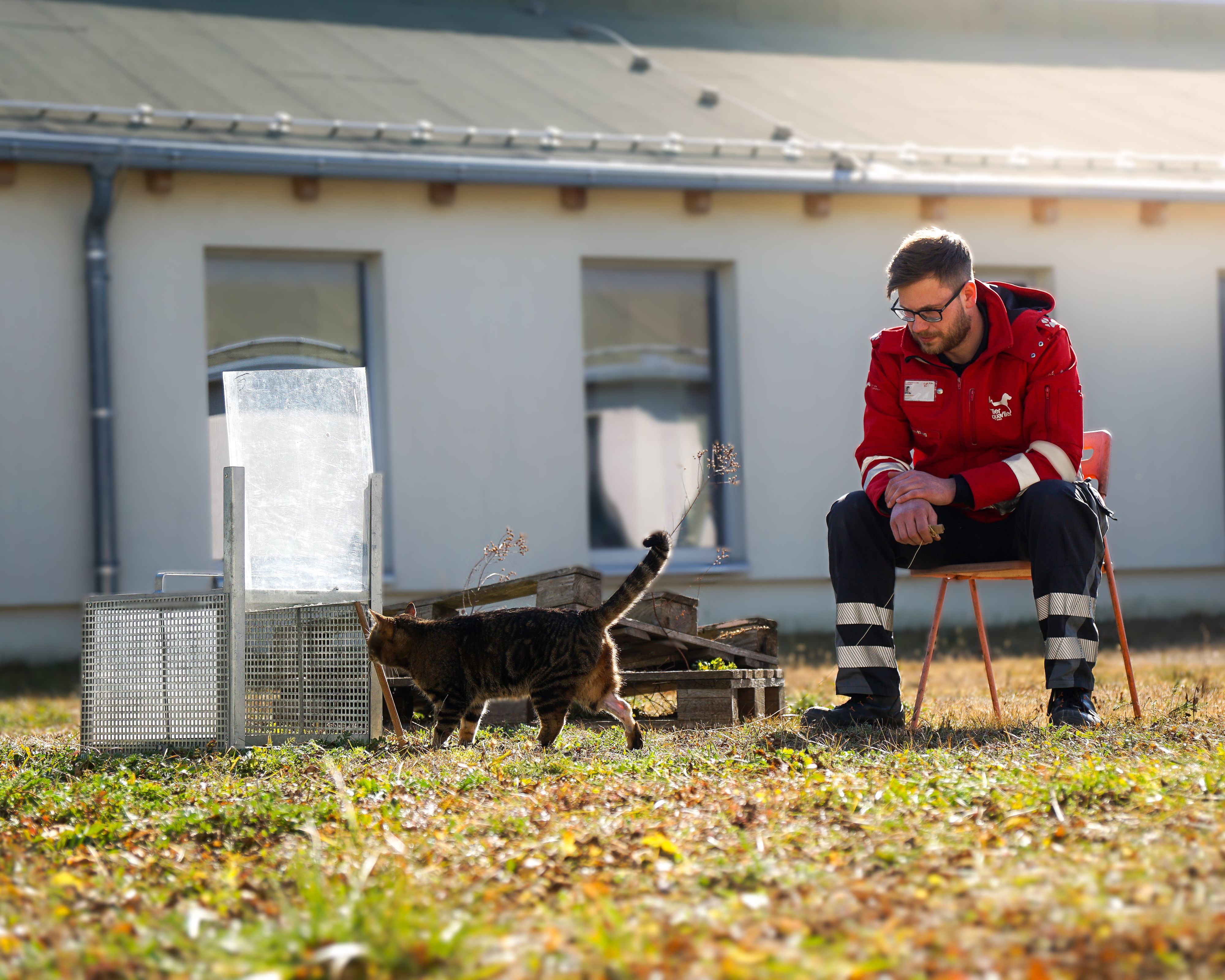 Im TierQuarTier ist Hochsaison.