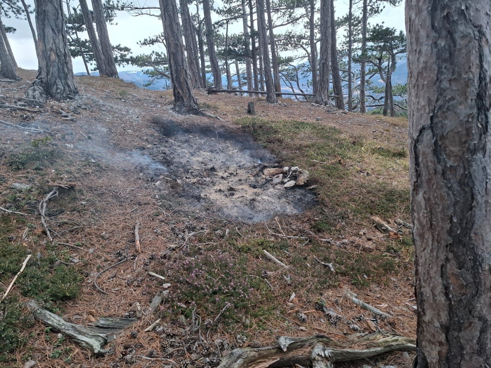 Feuerstelle in der Nähe der Jubiläumsaussicht am Geyerstein in Payerbach
