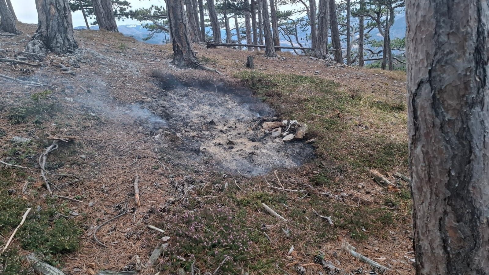 Feuerstelle in der Nähe der Jubiläumsaussicht am Geyerstein in Payerbach