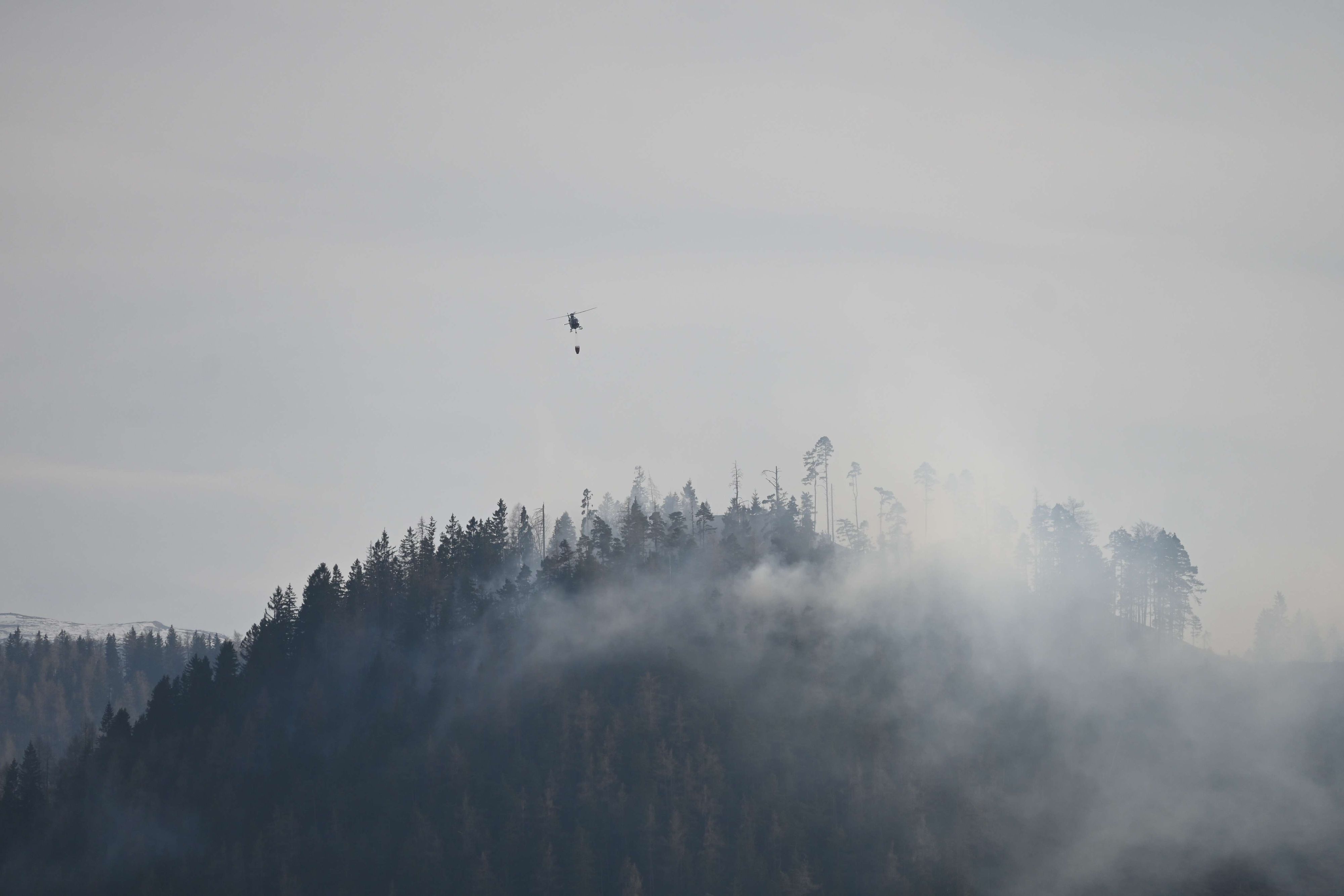 Großer Waldbrand in Schwarzau im Gebirge