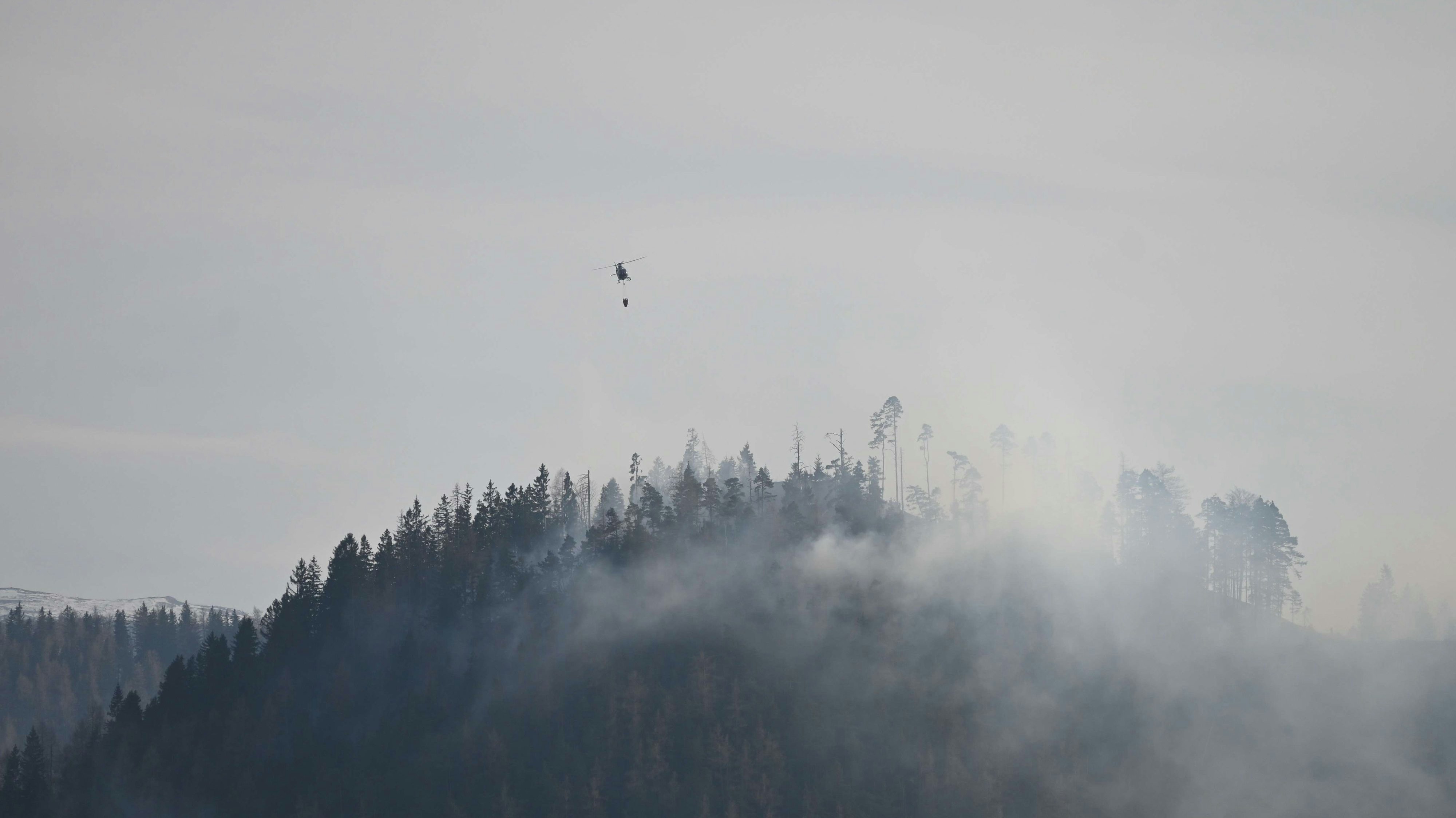Großer Waldbrand in Schwarzau im Gebirge