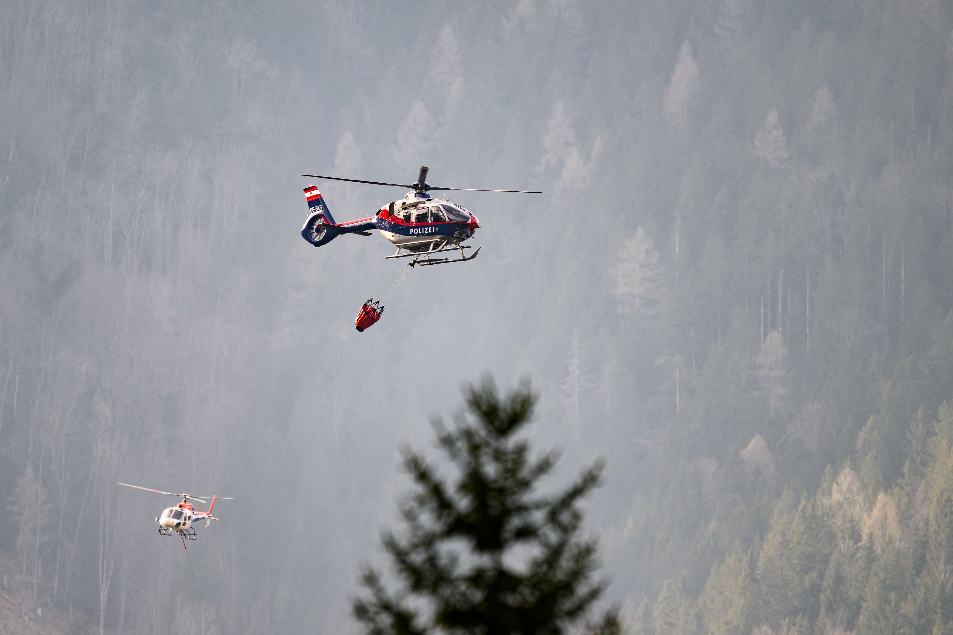 Ein Waldbrand im Raxgebiet bei Schwarzau im Gebirge (Bezirk Neunkirchen) hat am Samstag, 08. März 2025 für einen Feuerwehr-Großeinsatz gesorgt. Im Bild: Hubschrauber im Löscheinsatz.