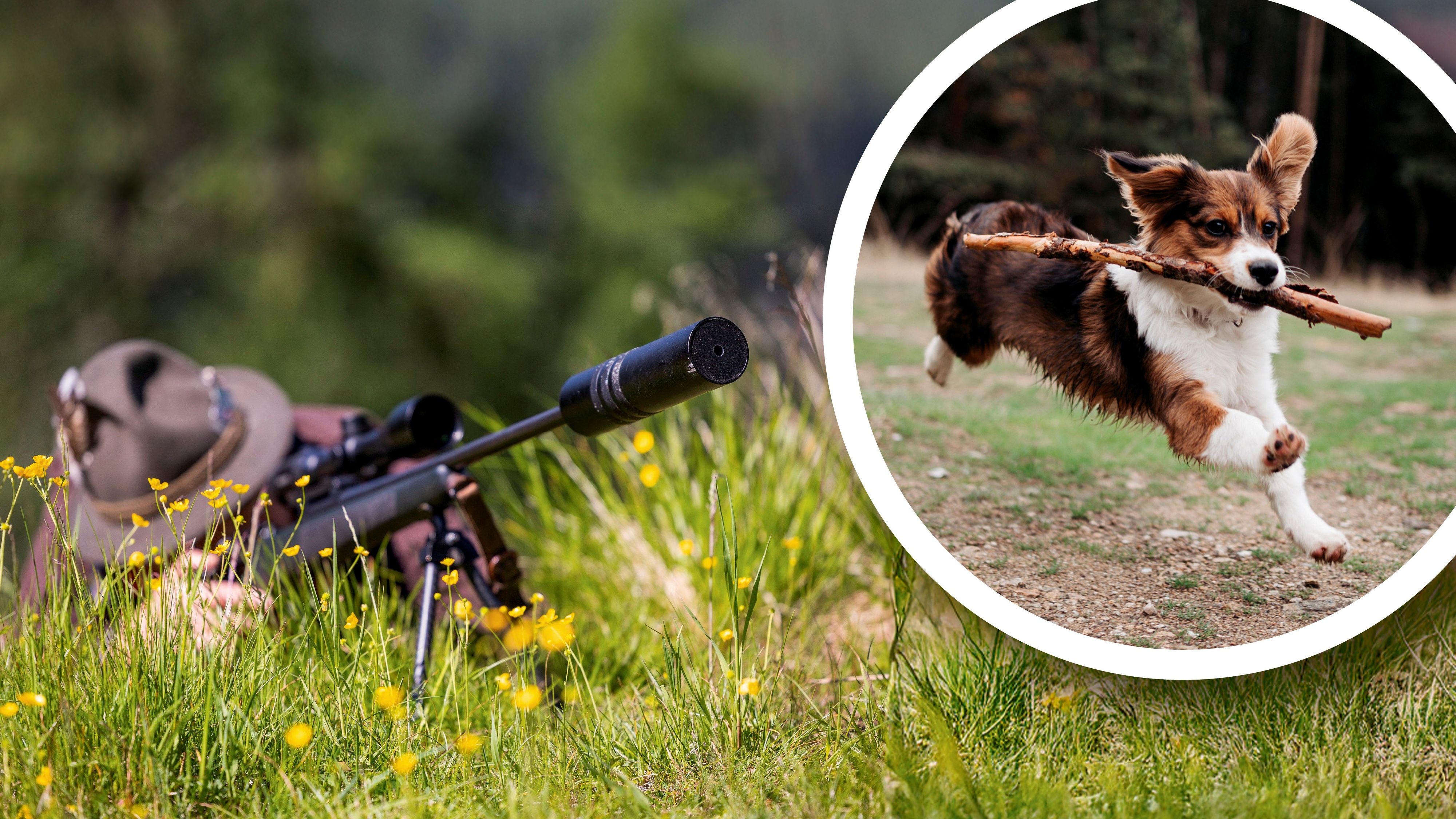 Ein Jäger hält sein Jagdgewehr mit Schalldämpfer im Anschlag im Jagdrevier.