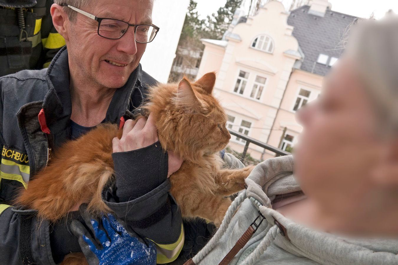 Die Feuerwehr befreit Stubentiger „Odin“ aus seiner misslichen Lage