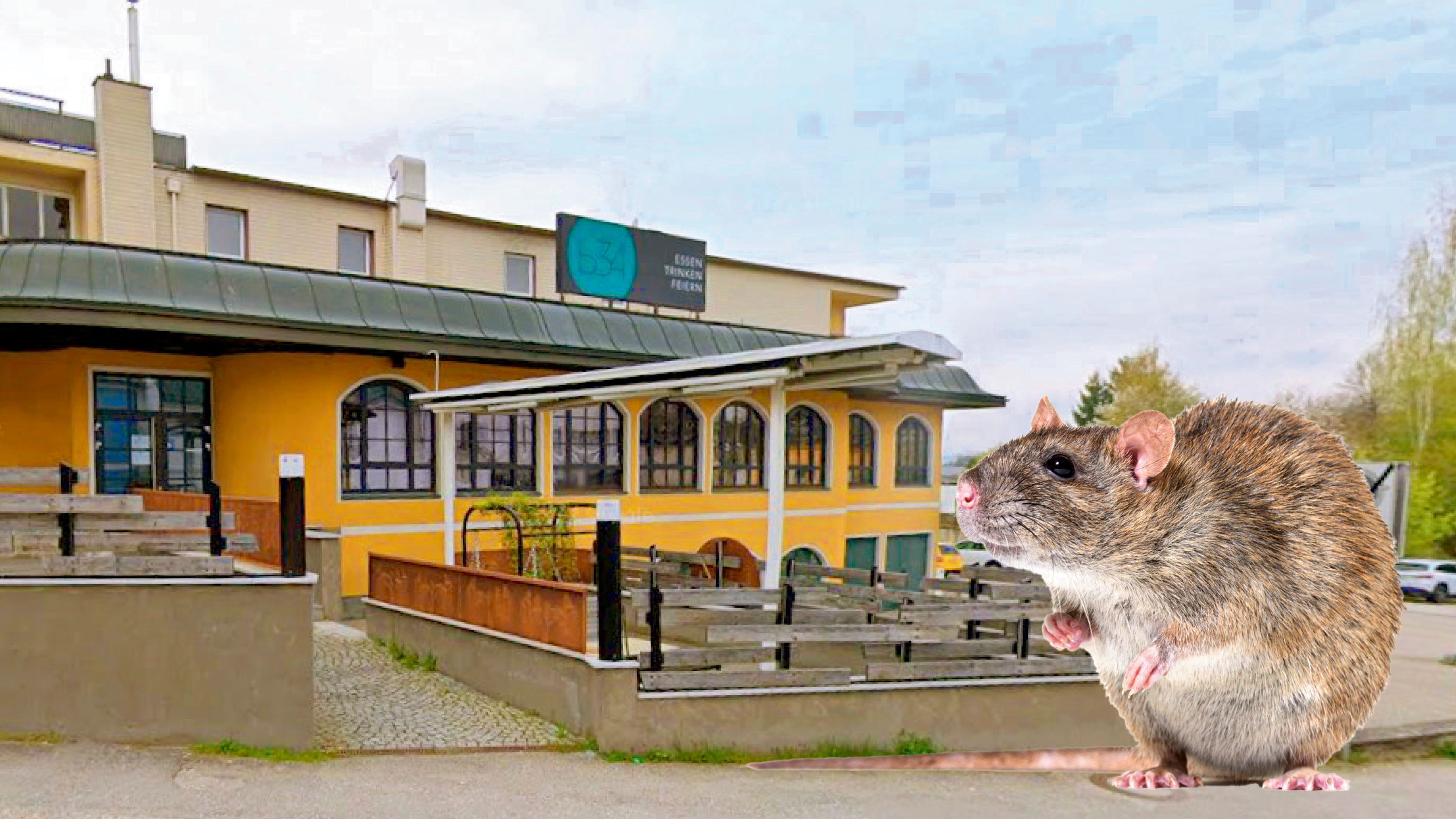 Das Restaurant B34 im Stadtzentrum von Rohrbach musste wegen eines Rattenbefalls vorübergehend schließen.