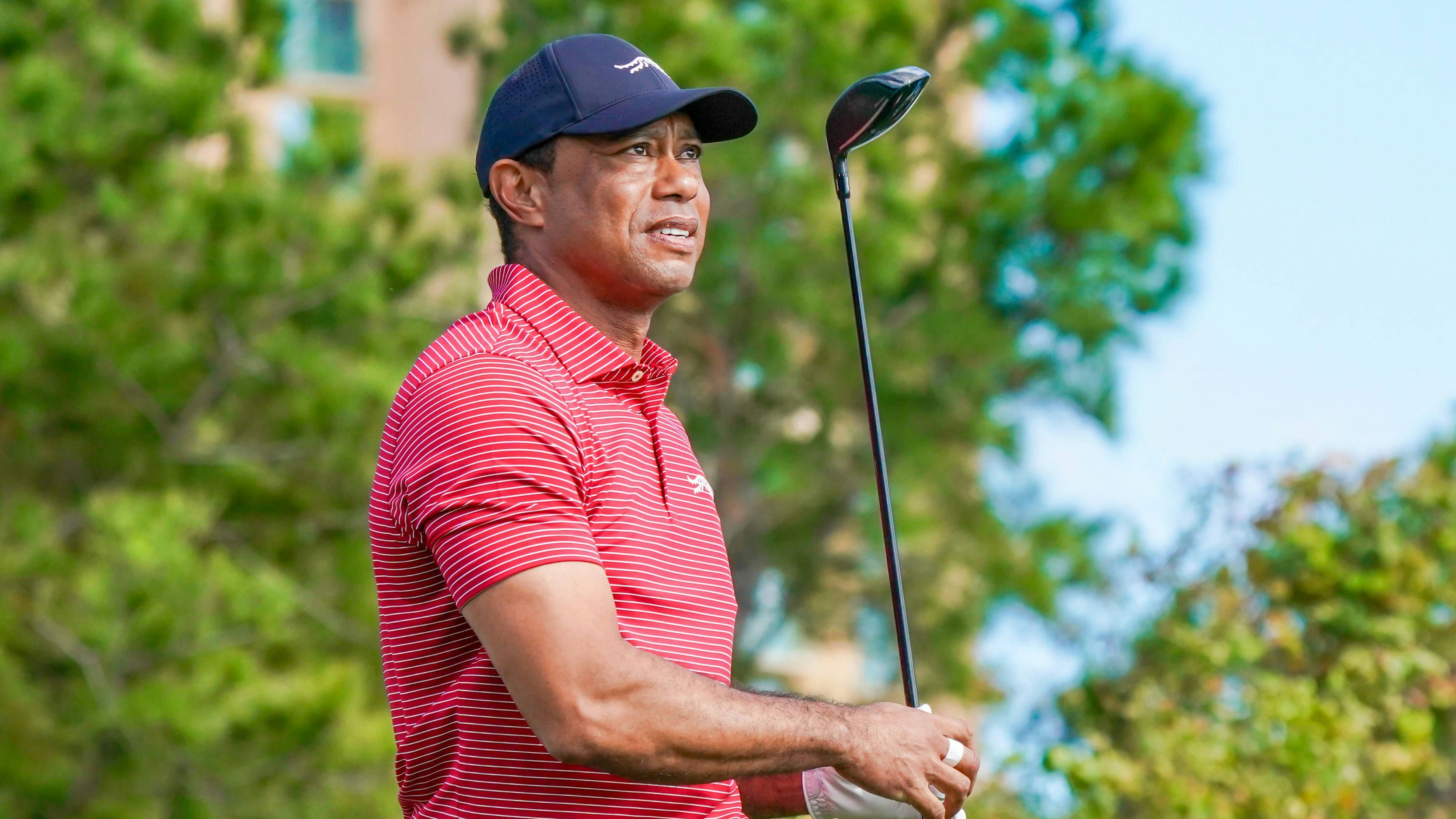 Heute.at - Schock! Tiger Woods zieht sich Horrorverletzung zu