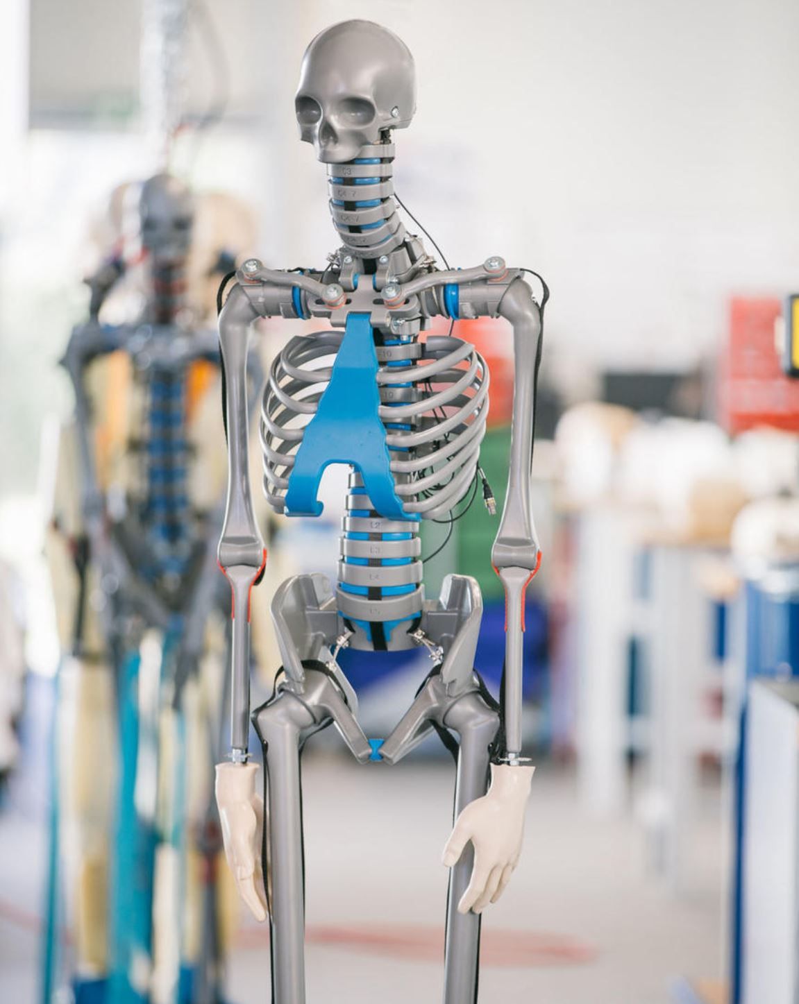 Der Fußgänger-Dummys ist eng an dem menschlichen Vorbild entwickelt.