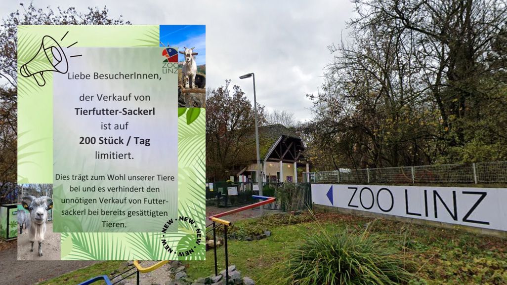 Neue Regeln im Linzer Zoo: Ab jetzt gibt es nurmehr 200 Futter-Sackerl pro Tag.