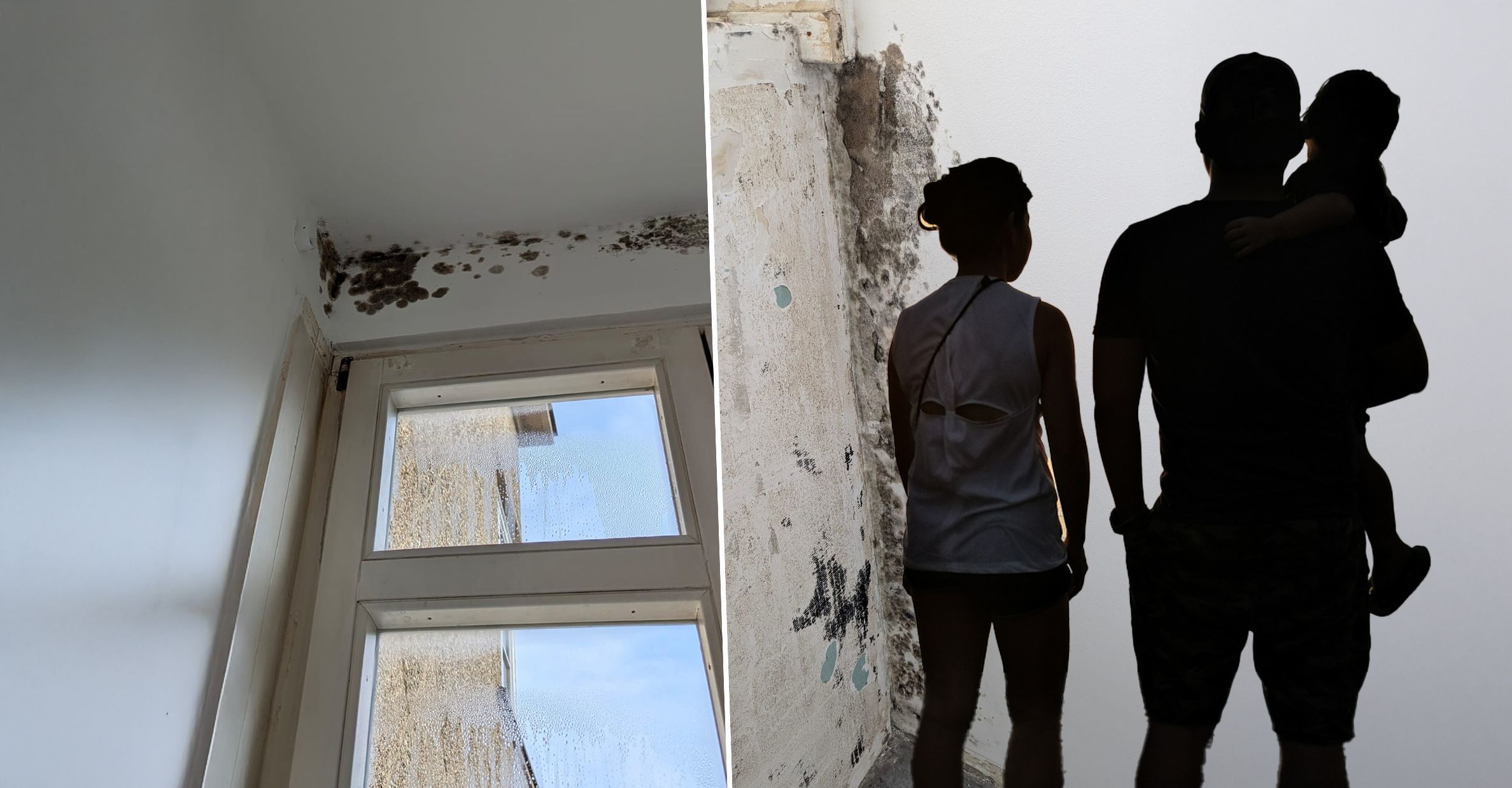 Schimmel an Wänden und marode Fenster: Eine Wiener Familie mit Baby leidet unter unzumutbaren Wohnverhältnissen – doch Wiener Wohnen verweigert den Fenstertausch.