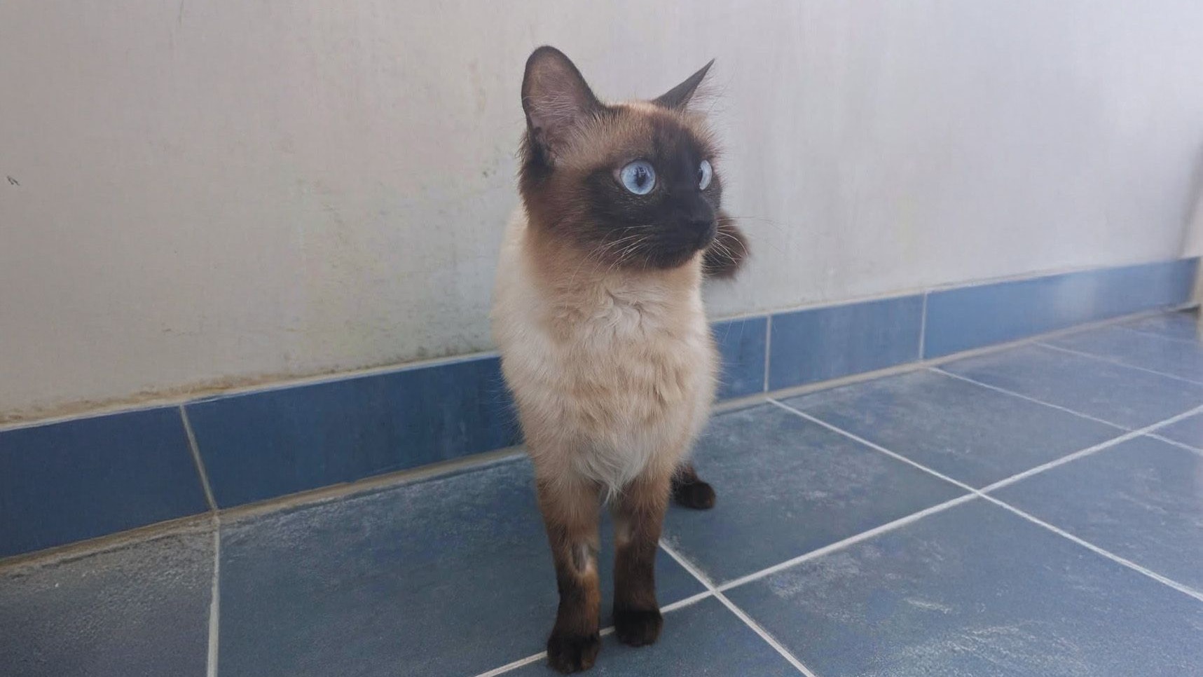 Fast wäre Aquamarina in der Kälte gestorben