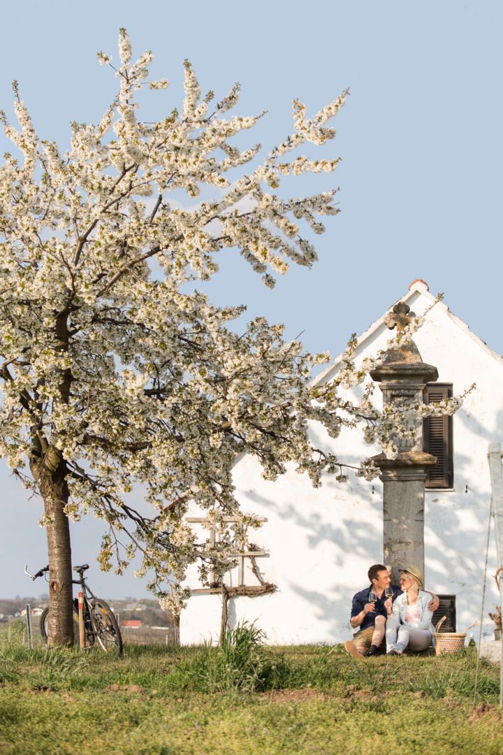 Mit dem Frühlingsbeginn erwachen auch die Ausflugszeile aus ihrem Winterschlaf.