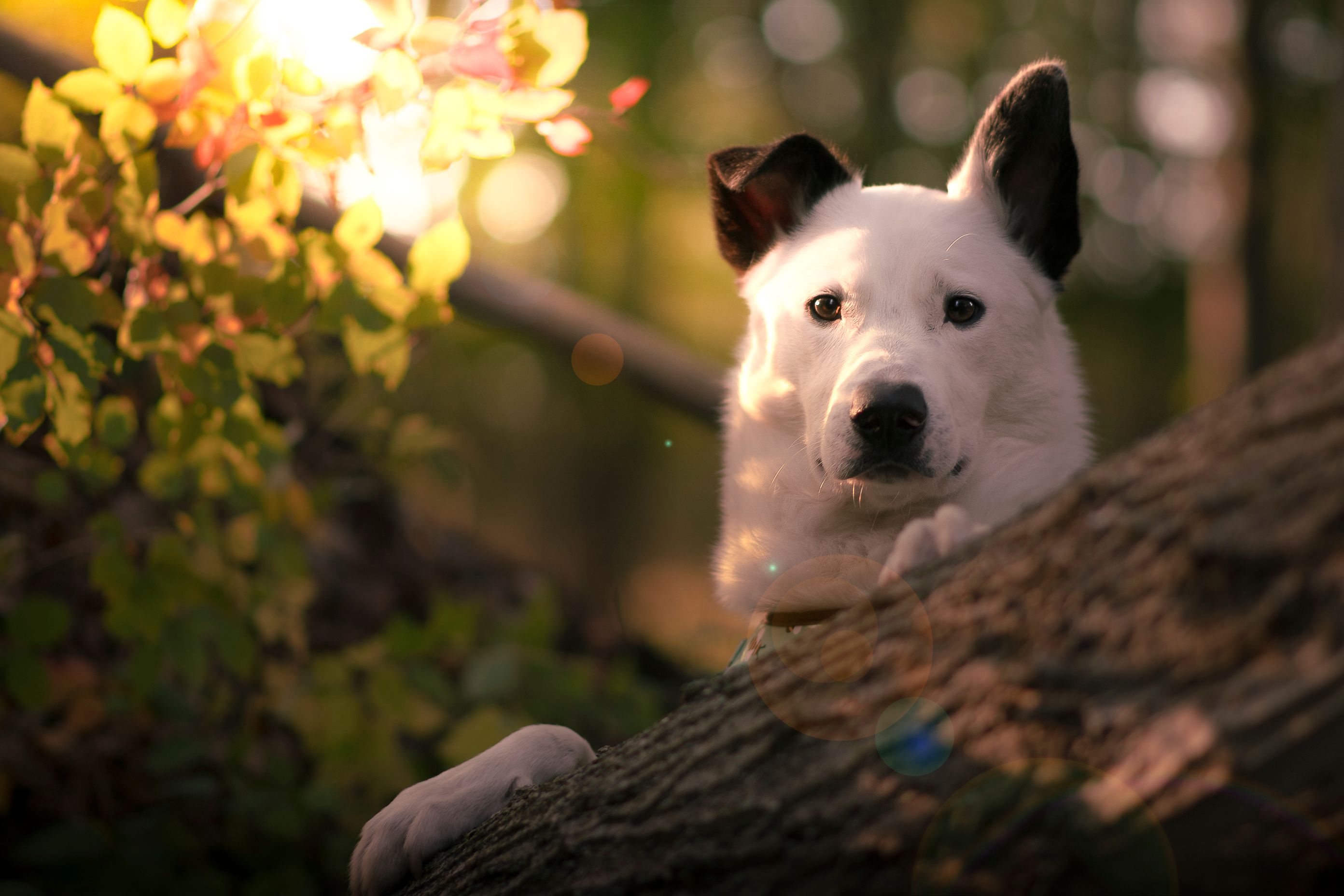 Schnipp-Schnapp? Oder lieber nicht?