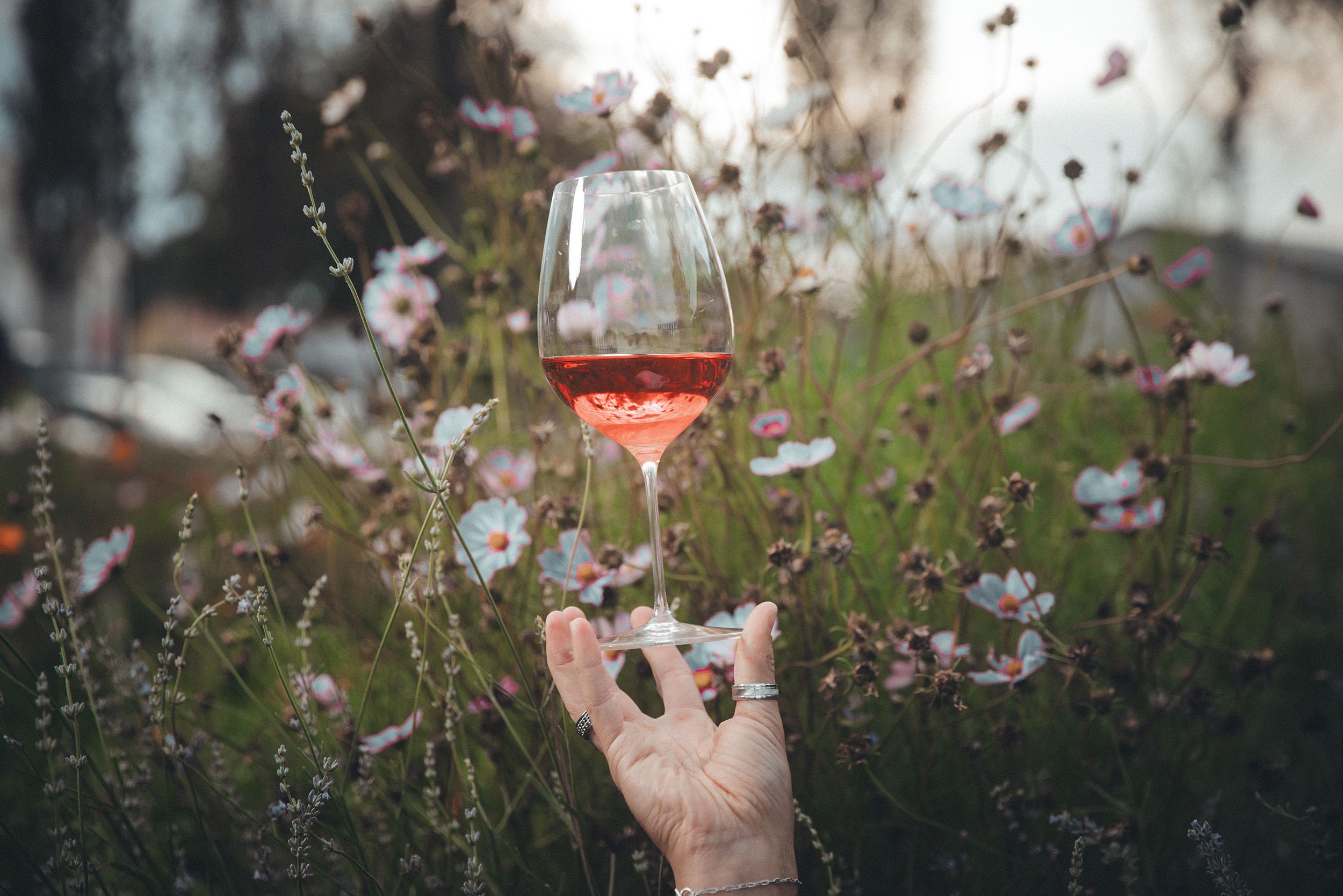 Namhafte Winzer der Genussregion Heideboden schlossen sich zur Initiative 