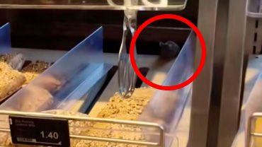 Bei der Backstube der Coop-Filiale in Thun war ein spezieller Kunde anzutreffen.