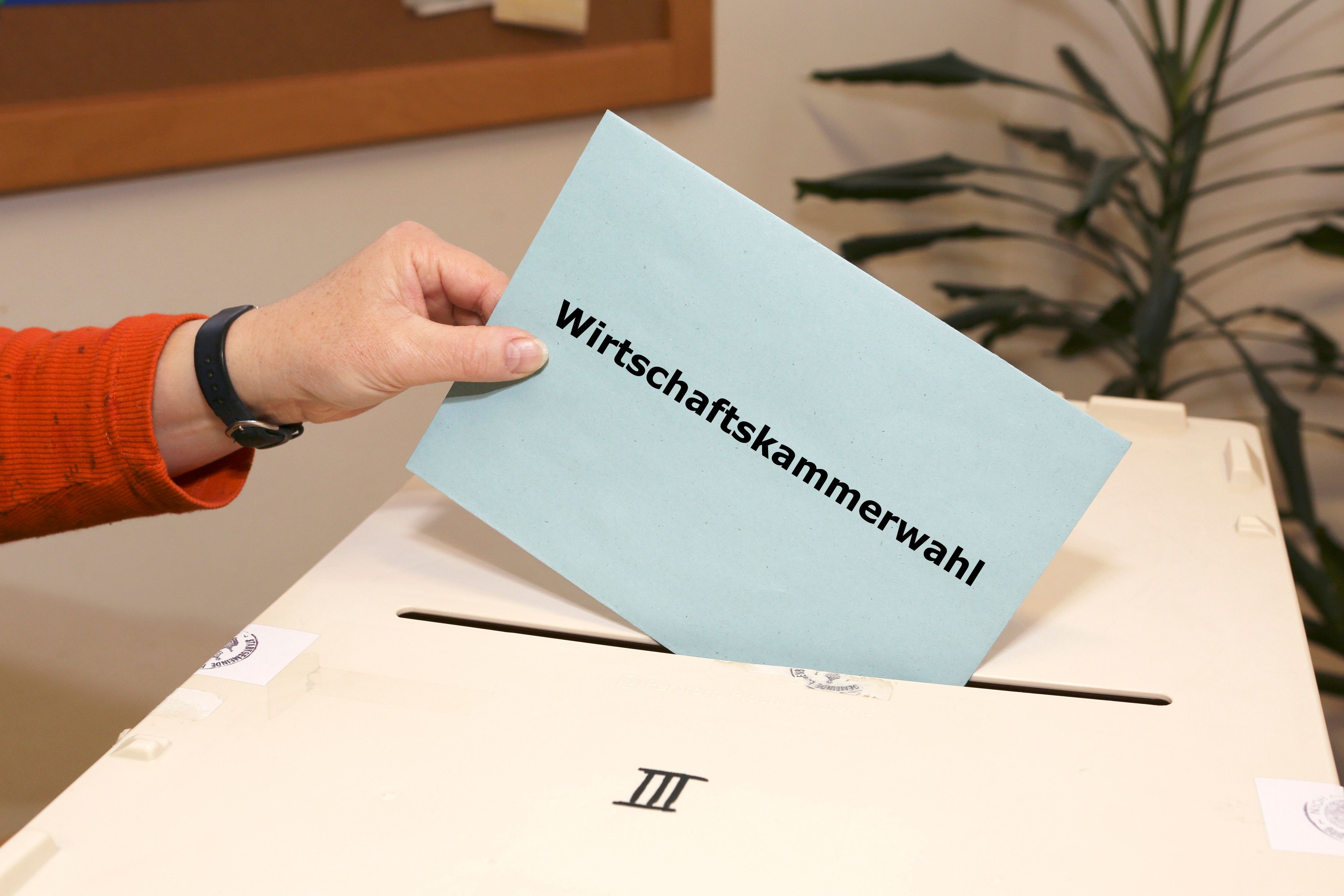 WK-Wahl 2025: Der SWV Wien sichert sich den Sieg in fünf zusätzlichen Fachgruppen. (Symbolbild)