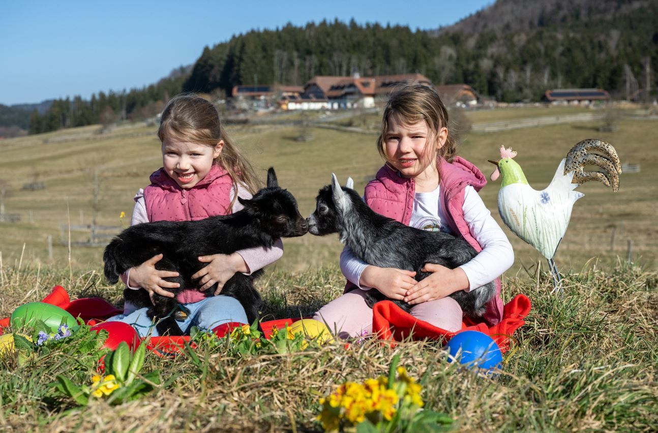 Kinder lernen den richtigen Umgang mit den Tieren.