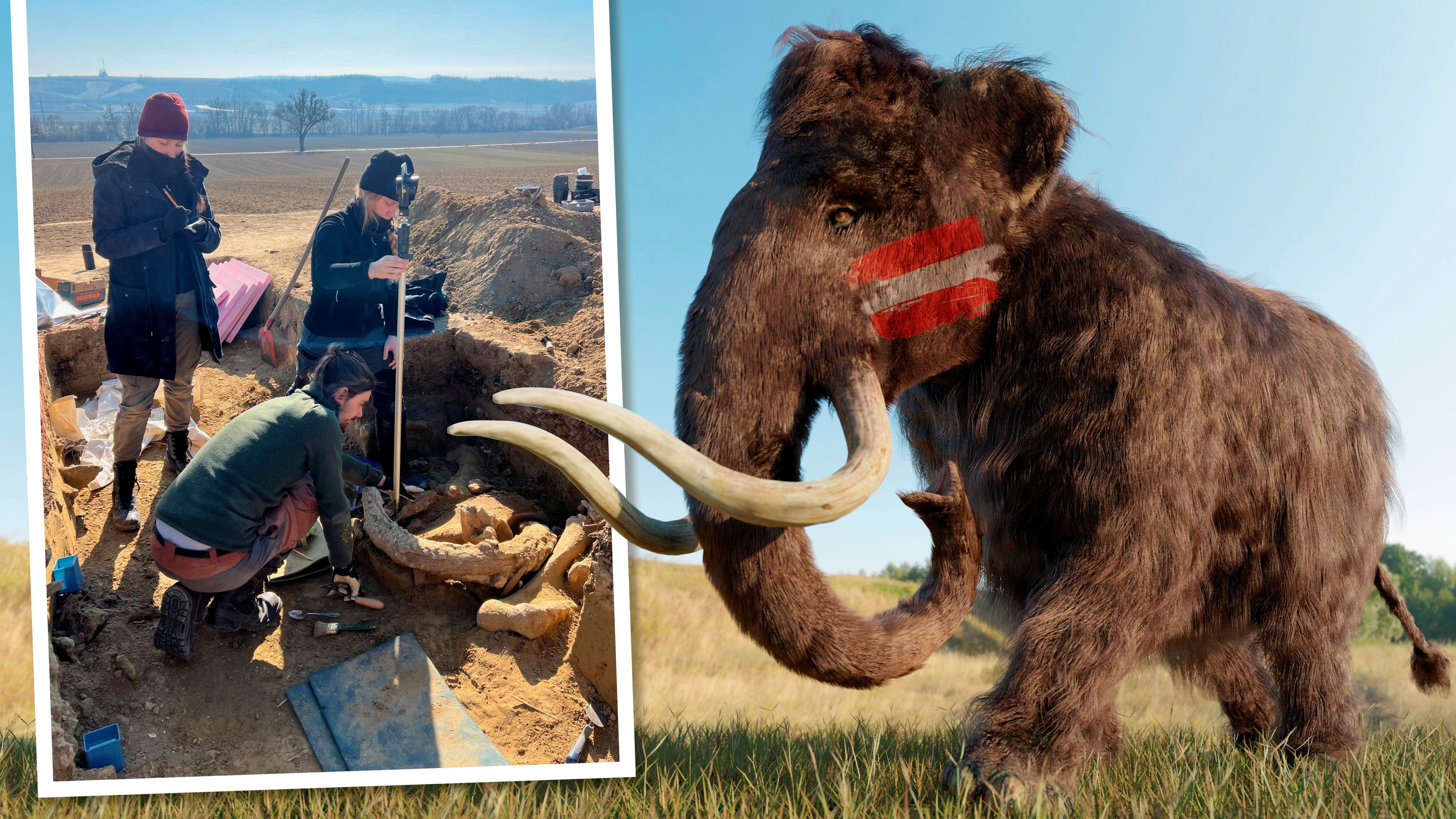 Archäologen der Österreichischen Akademie der Wissenschaften bei der Ausgrabung.