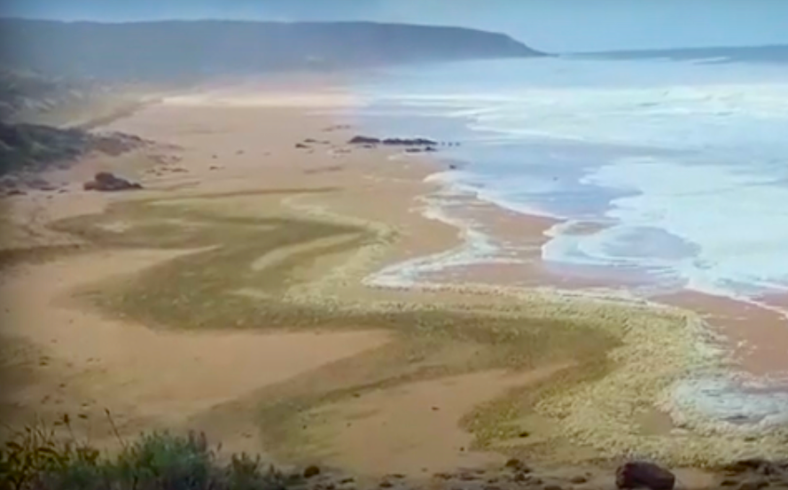 Herkunft ungeklärt: Meterdicker gelber Meeresschaum in Südaustralien.