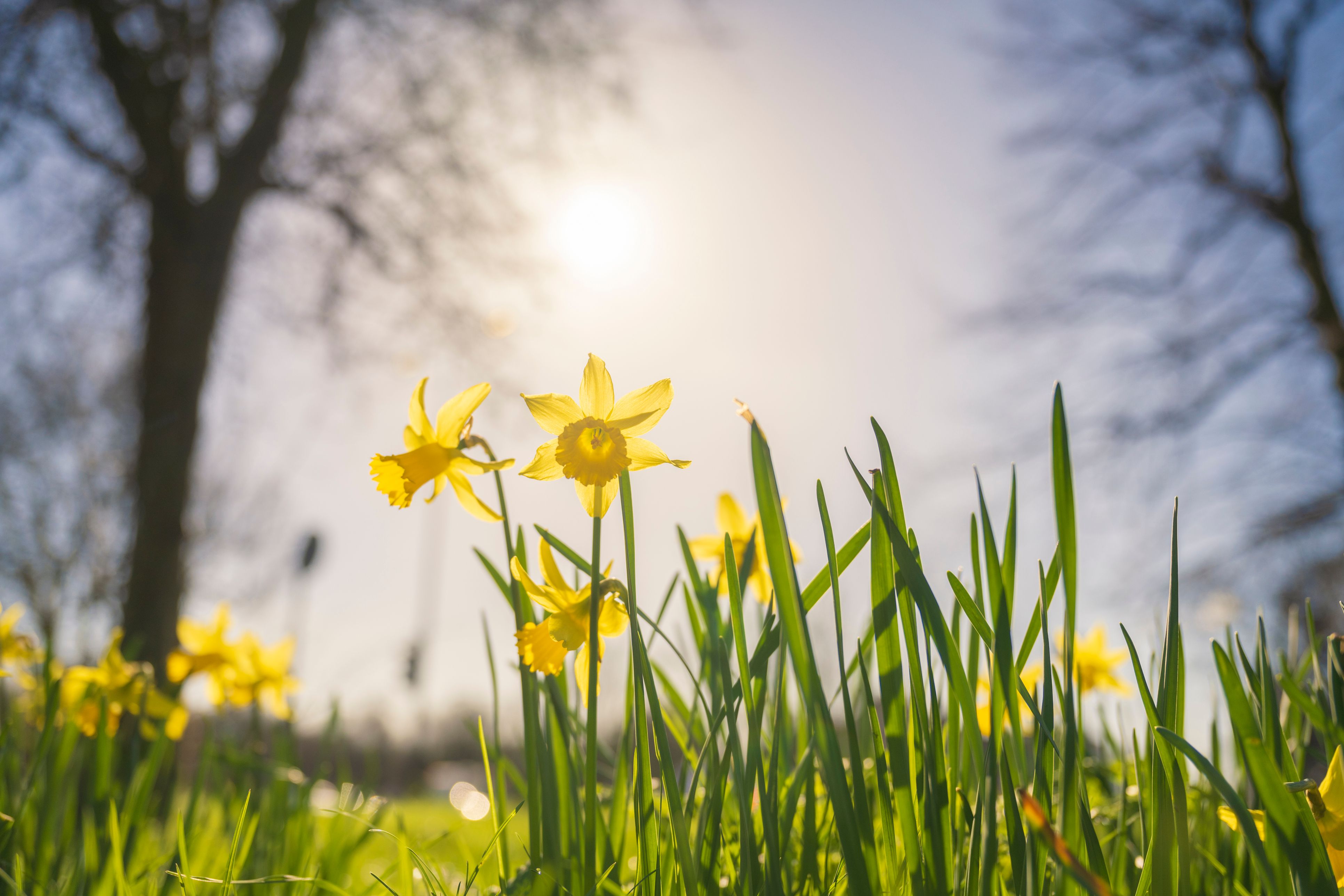 Zumindest bis Freitag bleibt das Wetter in Österreich angenehm frühlingshaft. (Symbolbild)
