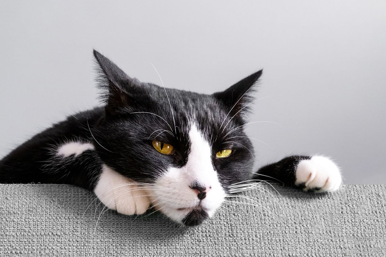 Forscher meinen, ein bisschen 