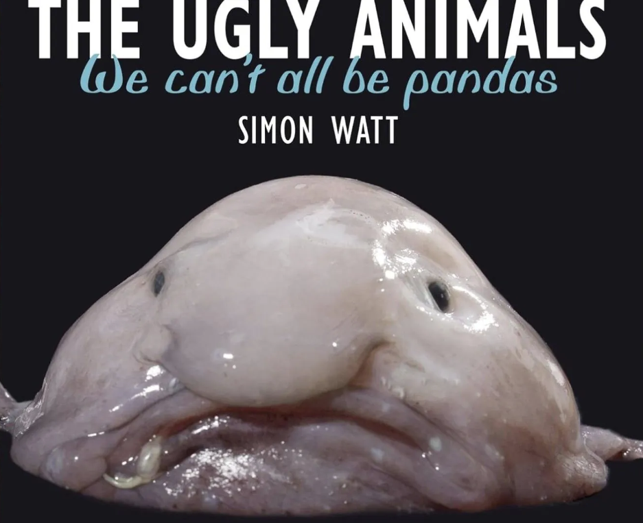 Der Blobfisch schaffte es auch aufs Cover des Buchs 