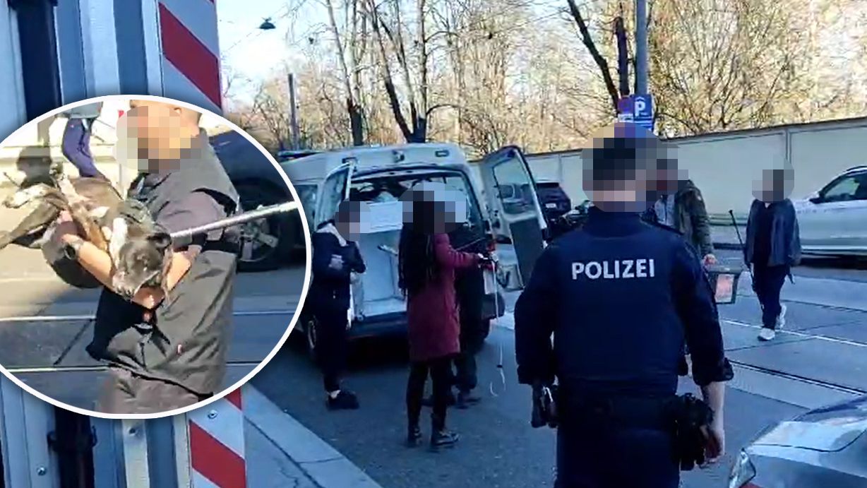 Video zeigt, wie Polizist beißwütigen Hund schnappt - er wurde mit einem Hundefangstab ruhig gestellt.