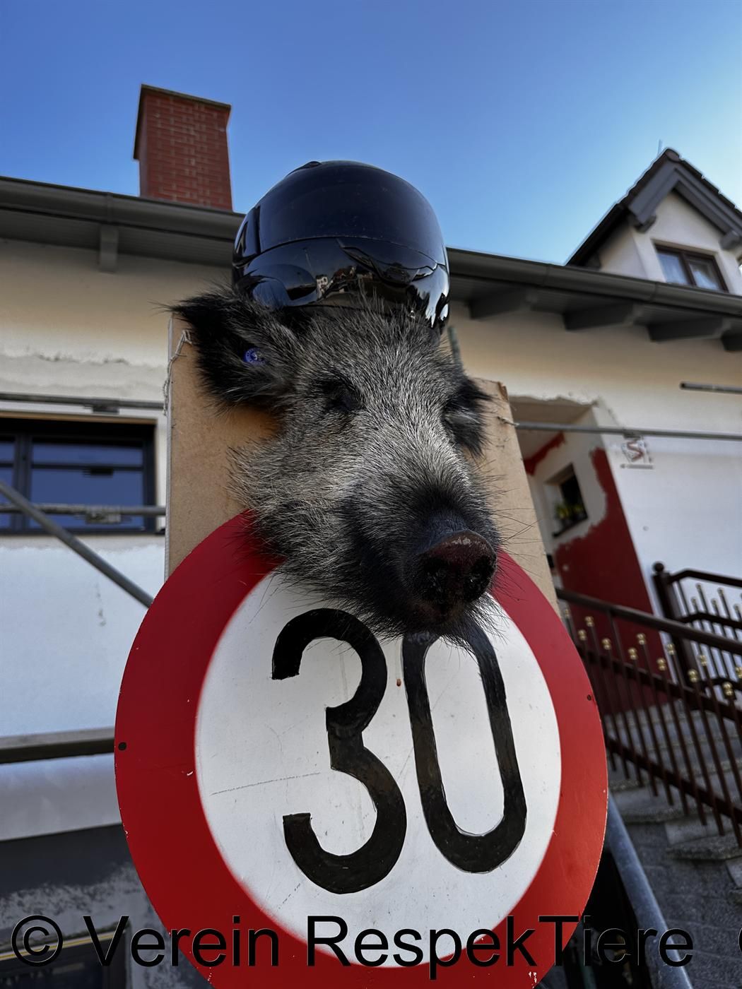 Totes Tier als Geschenk zum Dreißiger.