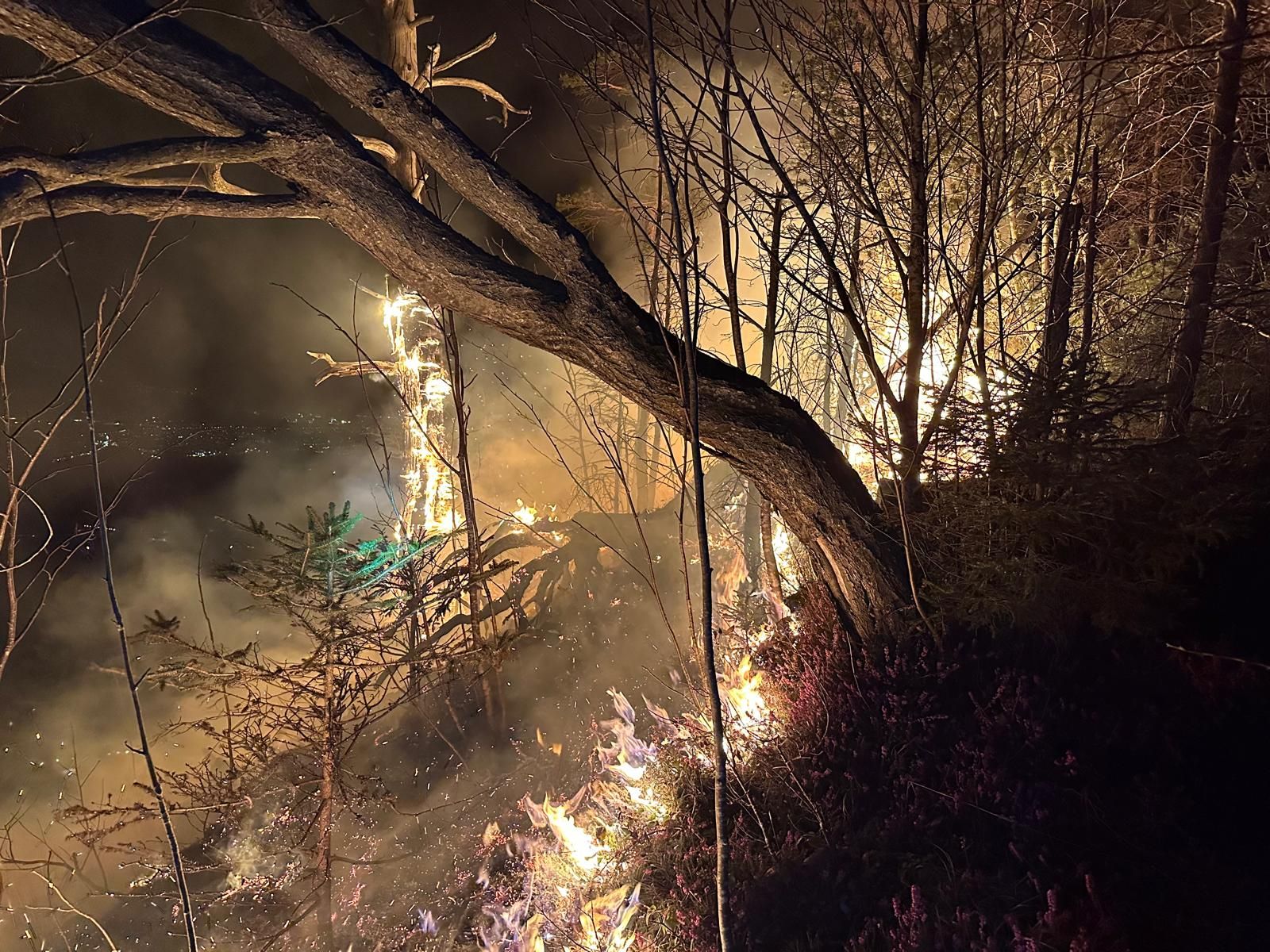 Die Feuerwehr konnte die Flammen glücklicherweise eindämmen. 
