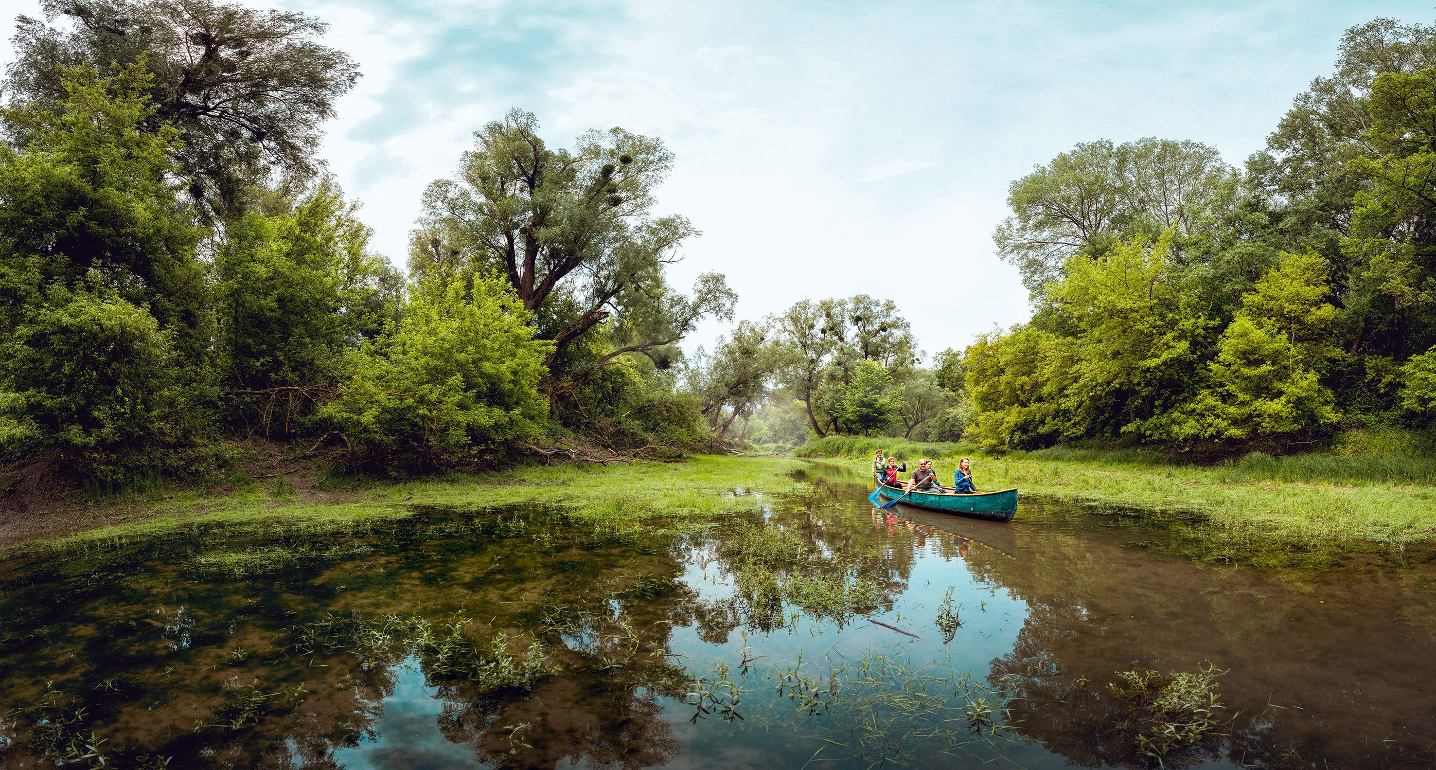 Konflikt zwischen Wassergewinnung und Nationalpark: Die Donauauen sind in Gefahr.