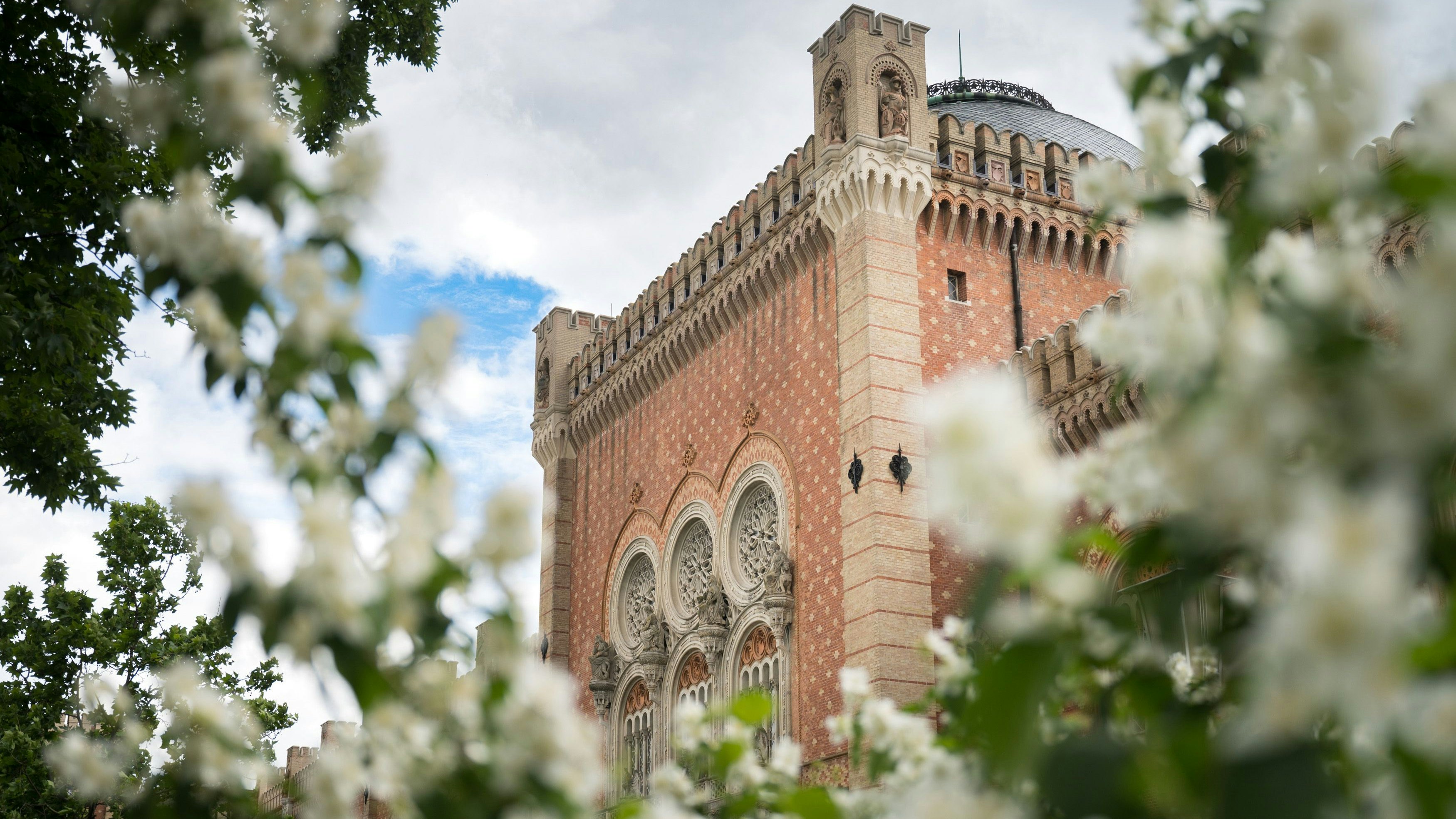 Heute.at - Wichtiger Schritt – Verstärkung für das Heeres-Museum