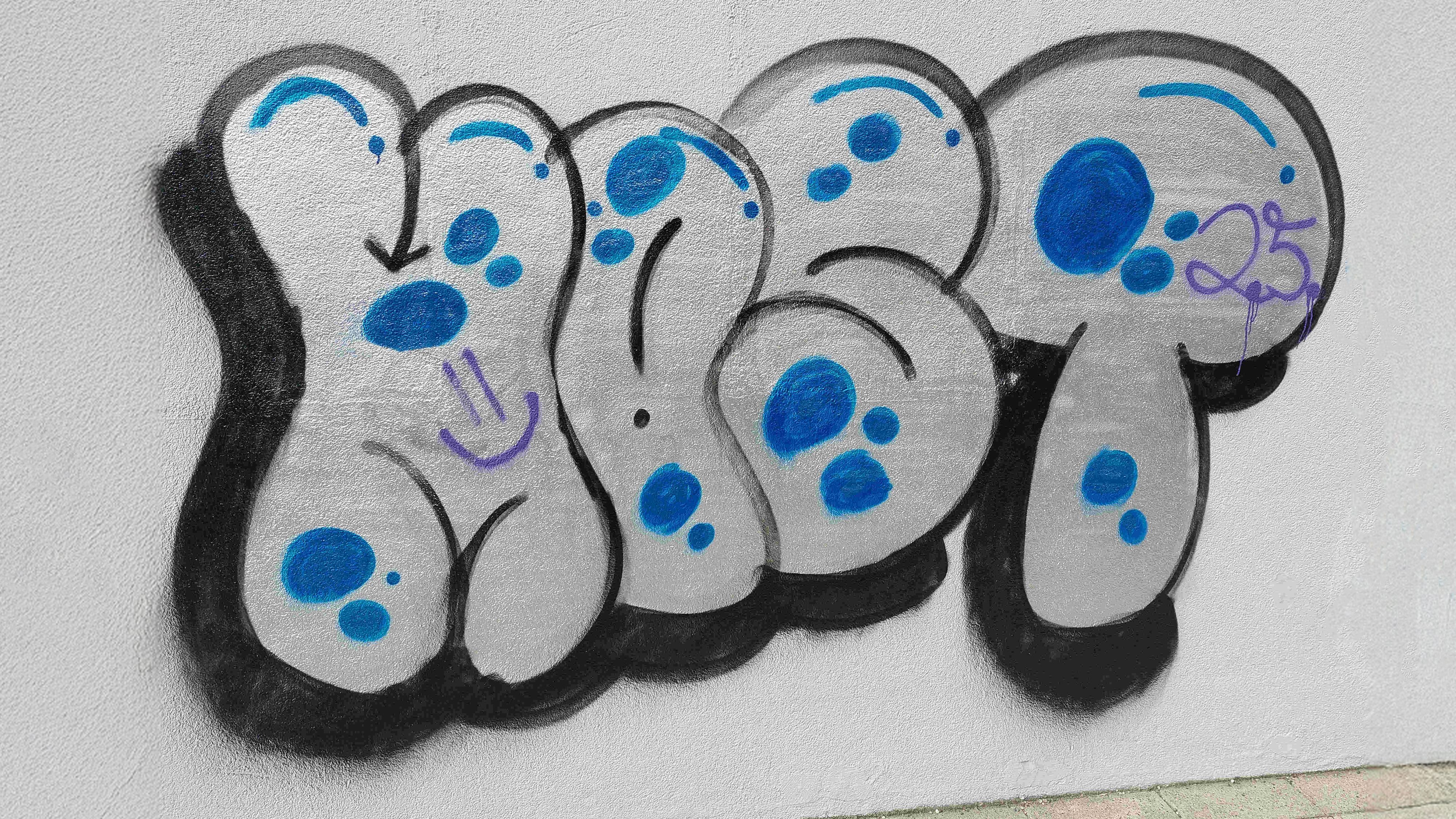 Die Polizei Purkersdorf Jagd Graffiti-Sprayer.