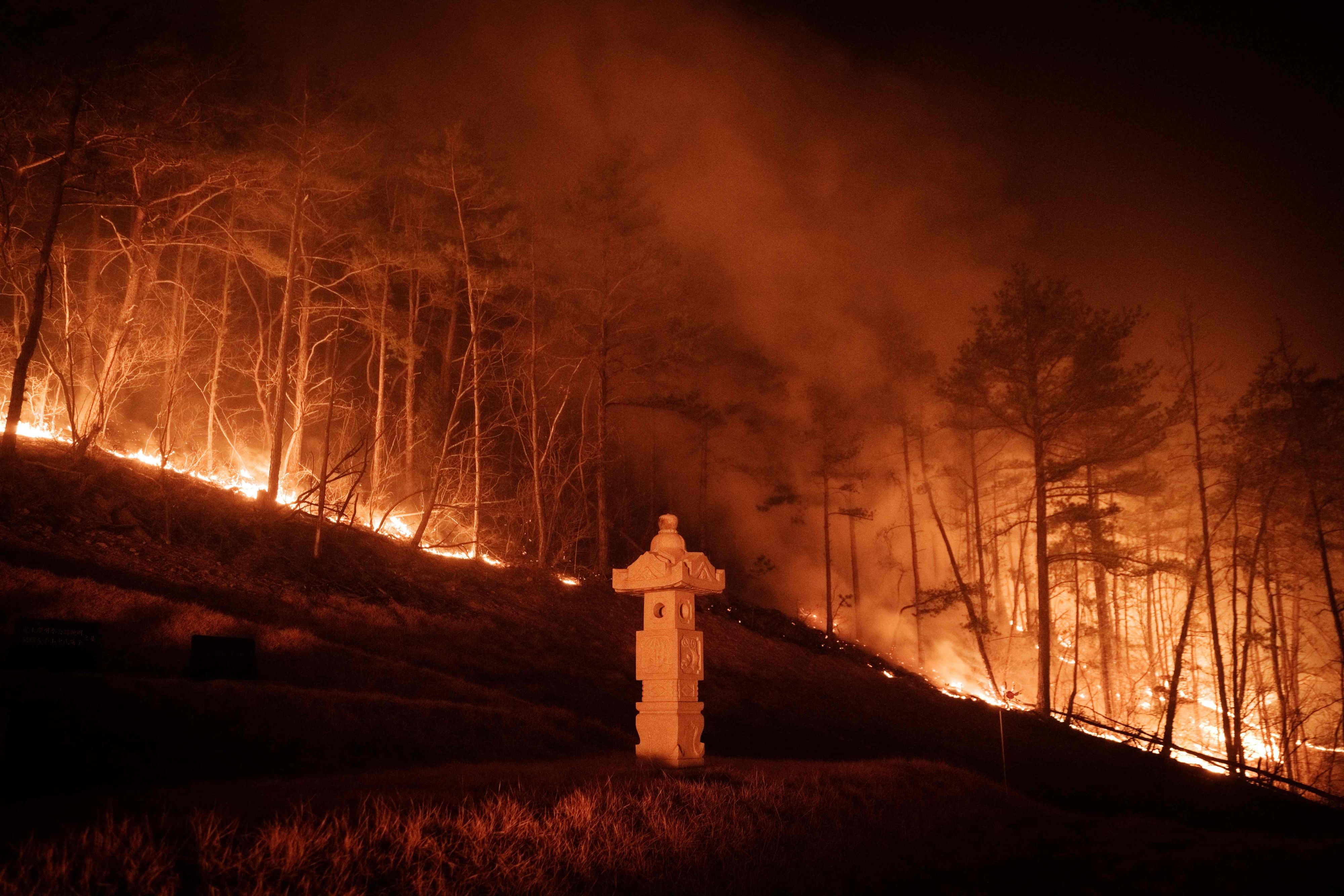 Bei den jüngsten Waldbränden sind bereits mehrere Menschen ums Leben gekommen. 
