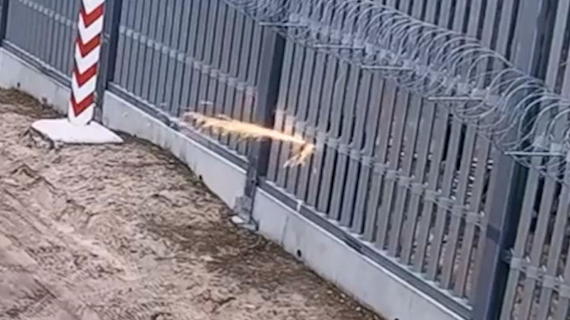 Hier schnitten sich Migranten mit einem Schneidbrenner durch den Grenzzaun zwischen Belarus und Polen.