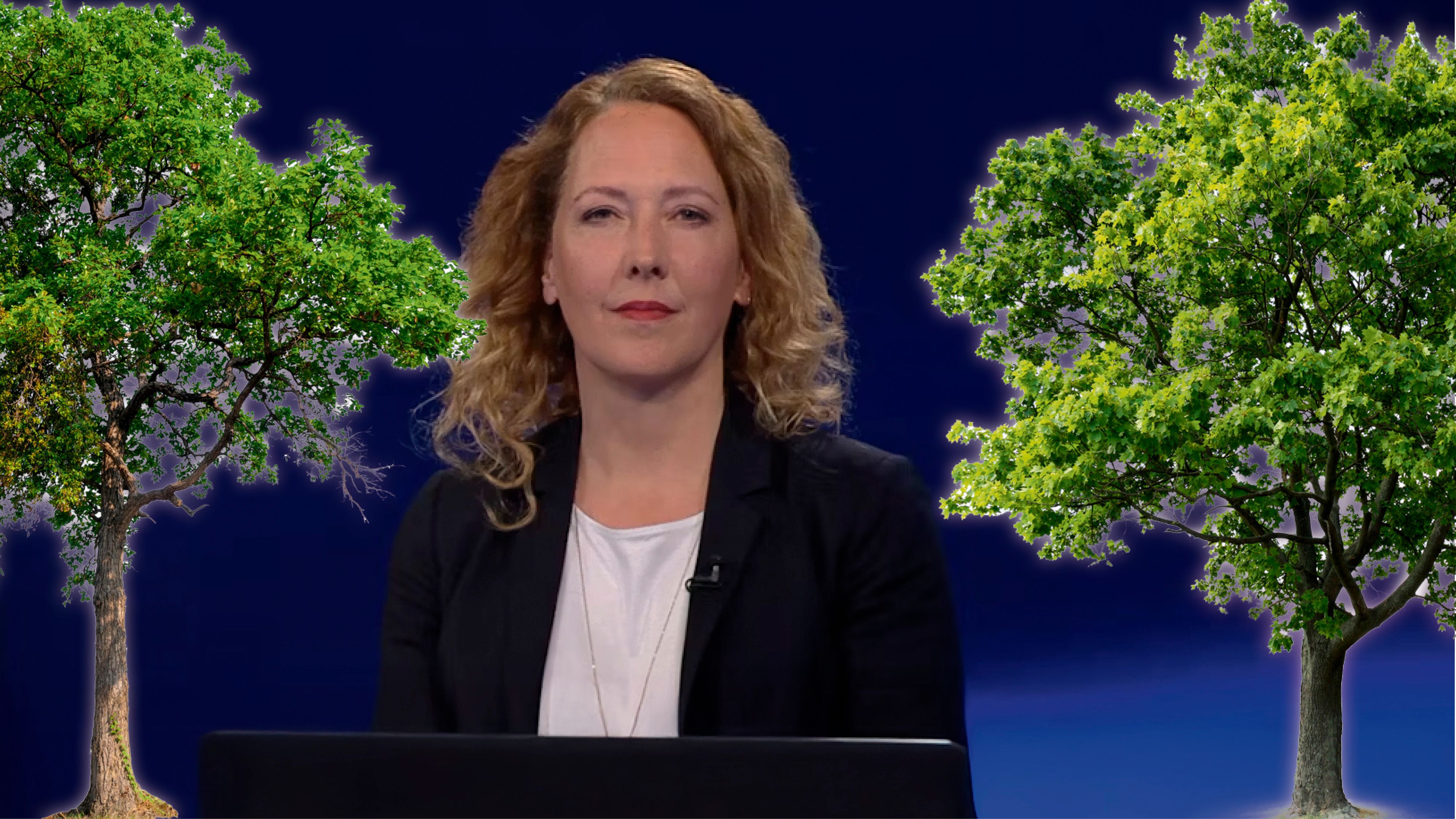 Heute.at - Ahorn (he/him) – Pühringer lässt sich nicht pflanzen