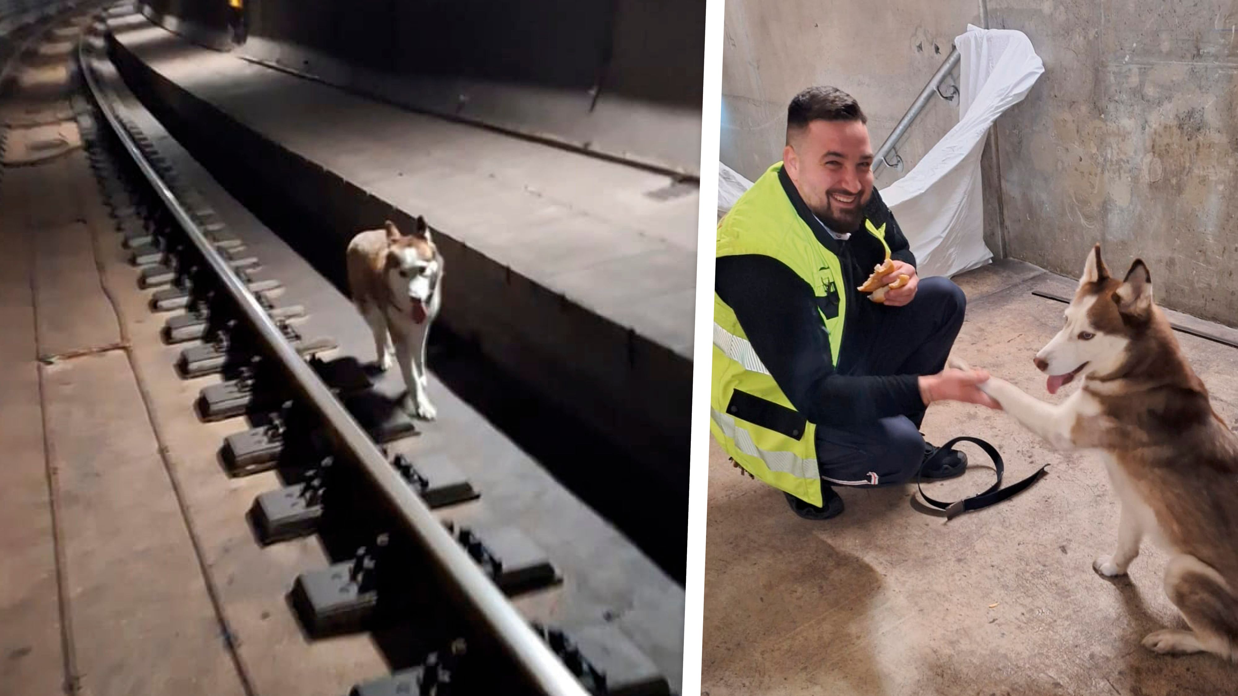 Wiener Linien-Mitarbeiter Stefan Nikic rettete gemeinsam mit einem Kollegen die Hündin aus dem Tunnel.