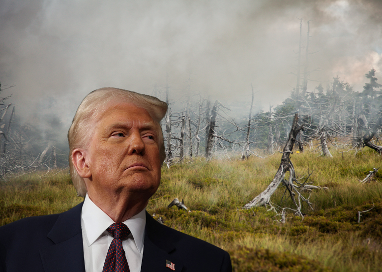 US-Präsident Donald Trump fährt die Auflagen für fossile Energie-Produzenten zurück.