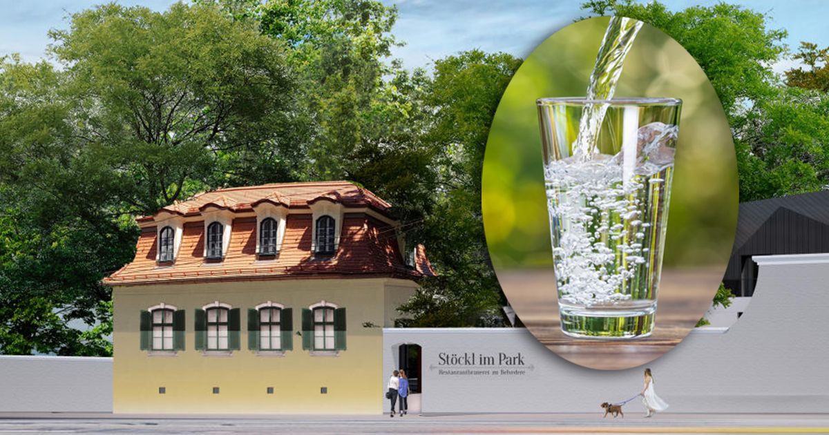 Im Stöckl im Park landet Leitungswasser als Erstgetränk auf der Rechnung - aus einem guten Grund.