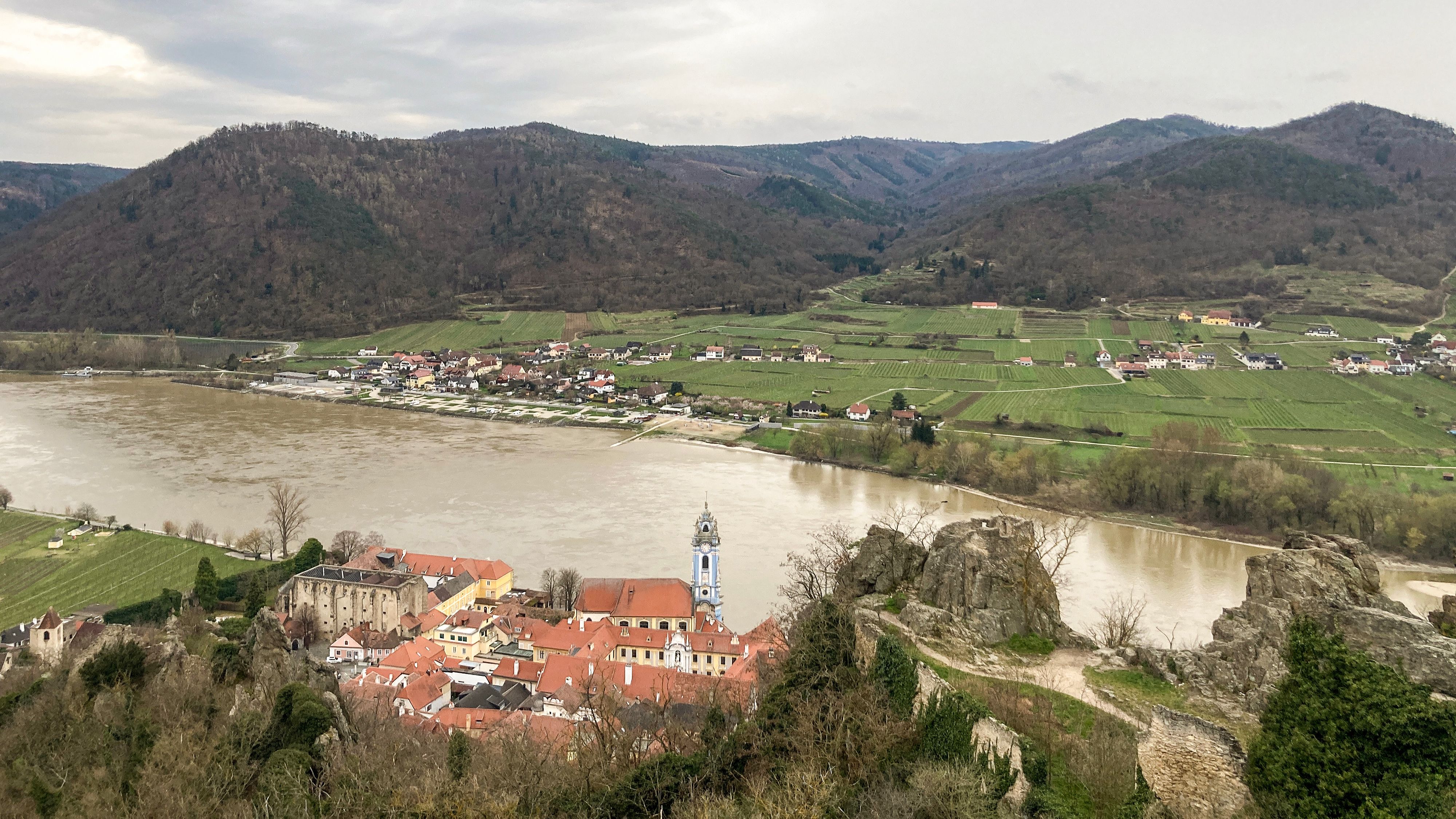 So sah es am Sonntag in der Wachau aus: Wetterbedingt lässt die Marillenblüte auf sich warten.