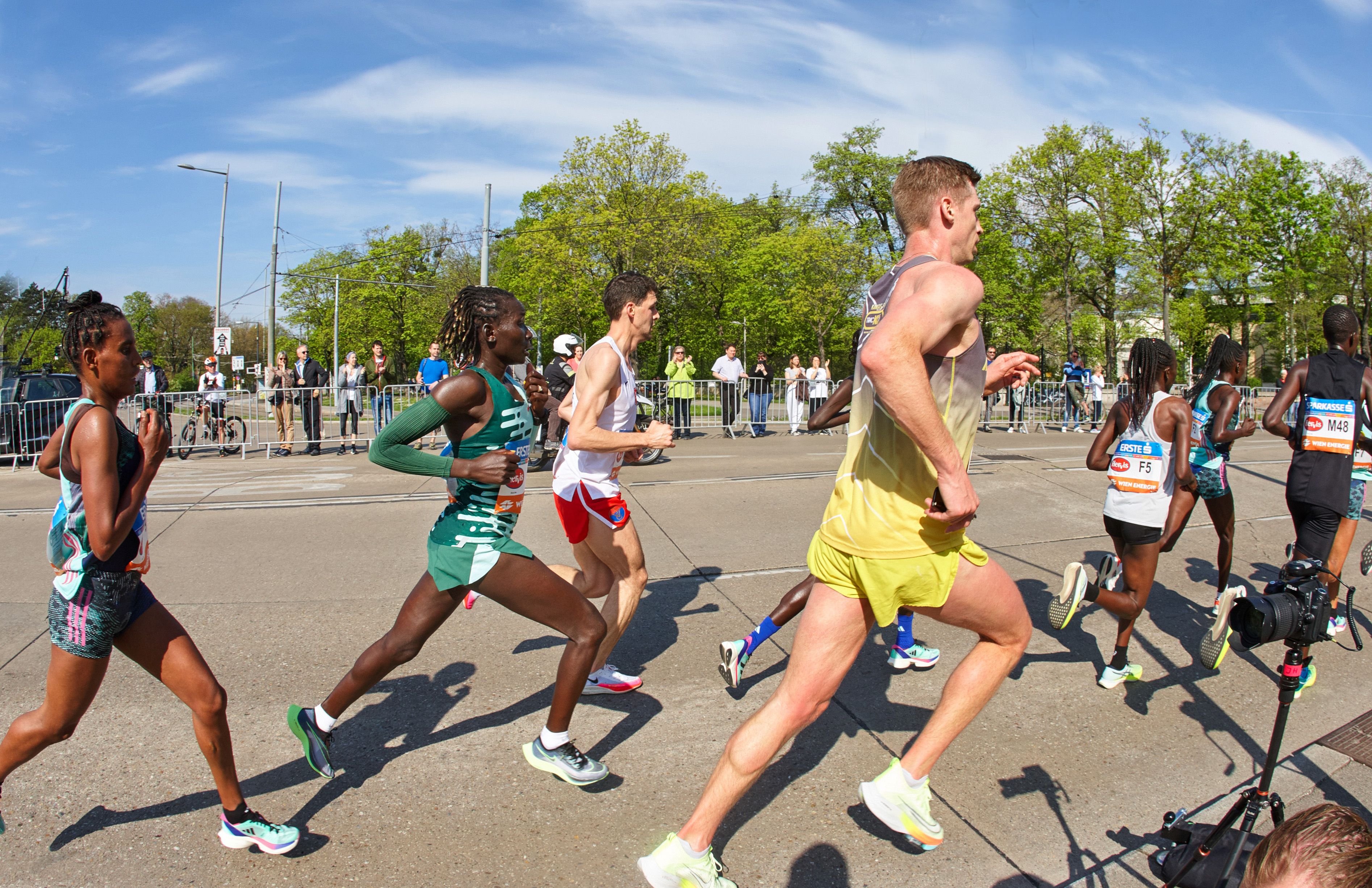 Am Laufwochenende des Vienna City Marathons 2025 fliegen wieder Pollen en masse. Archivbild