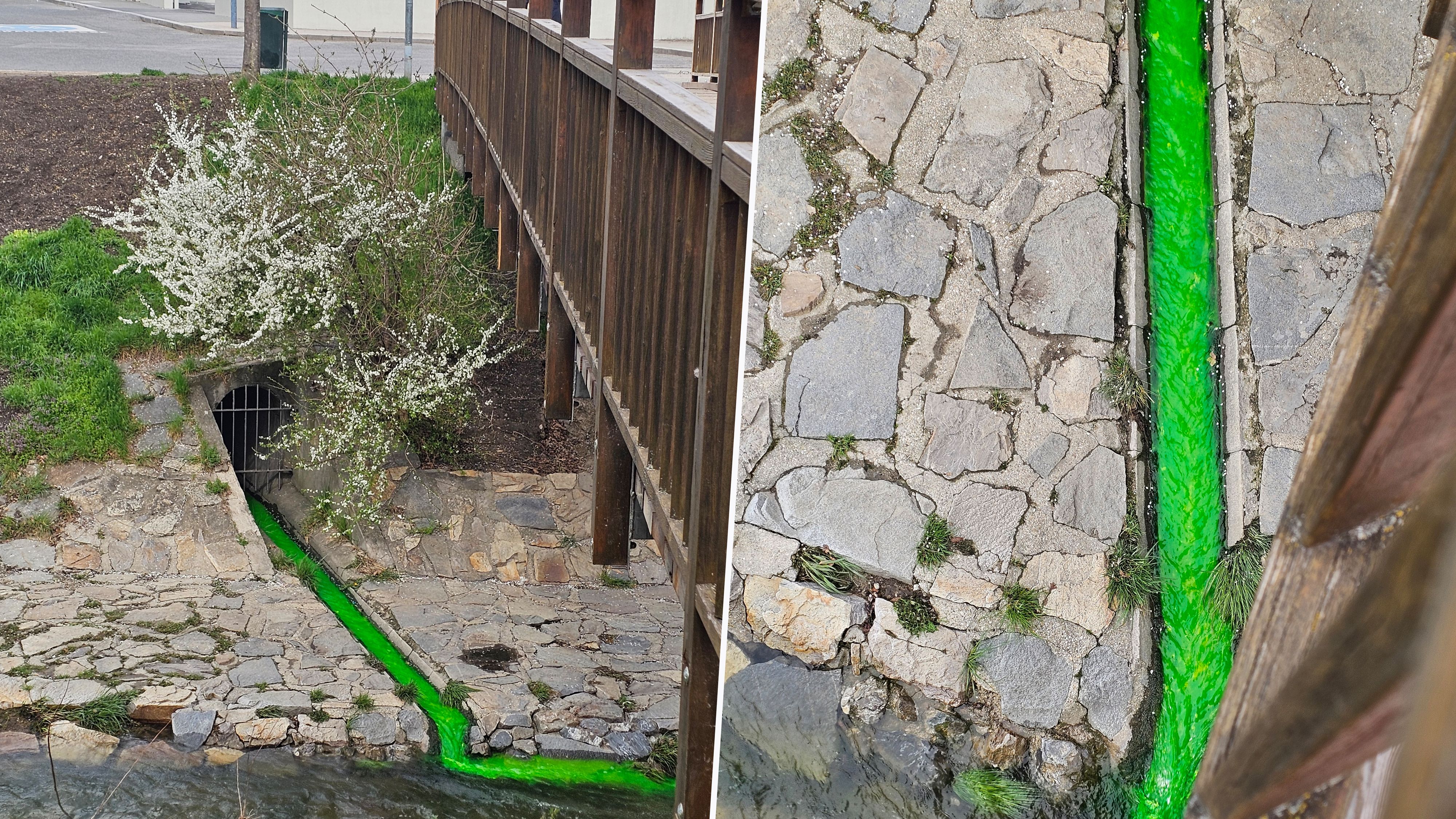 Was hat es mit dem giftgrünen Wasser auf sich? 