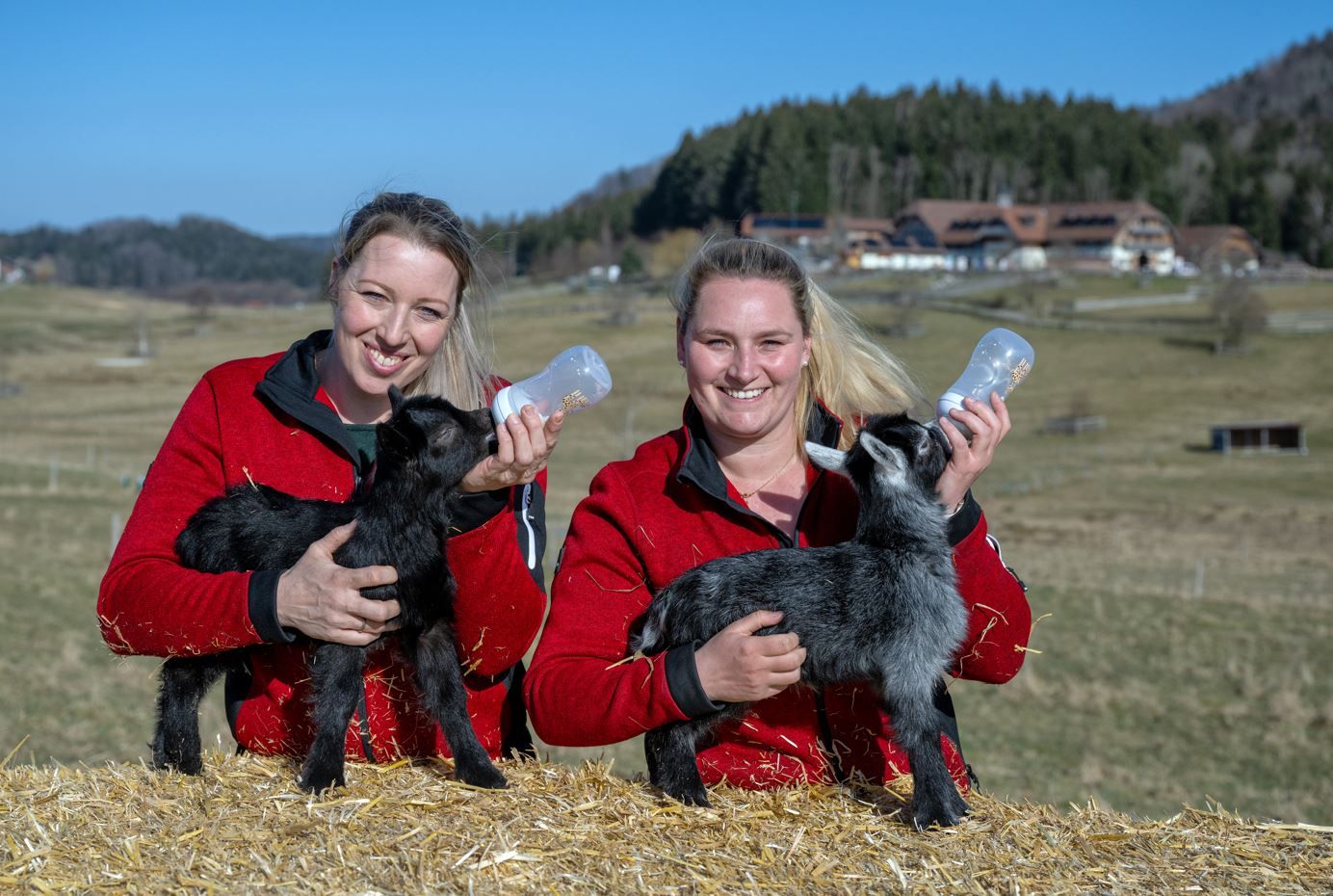 Leider hatte die Geiß die anstrengende Geburt der zwei Brüder nicht überlebt.