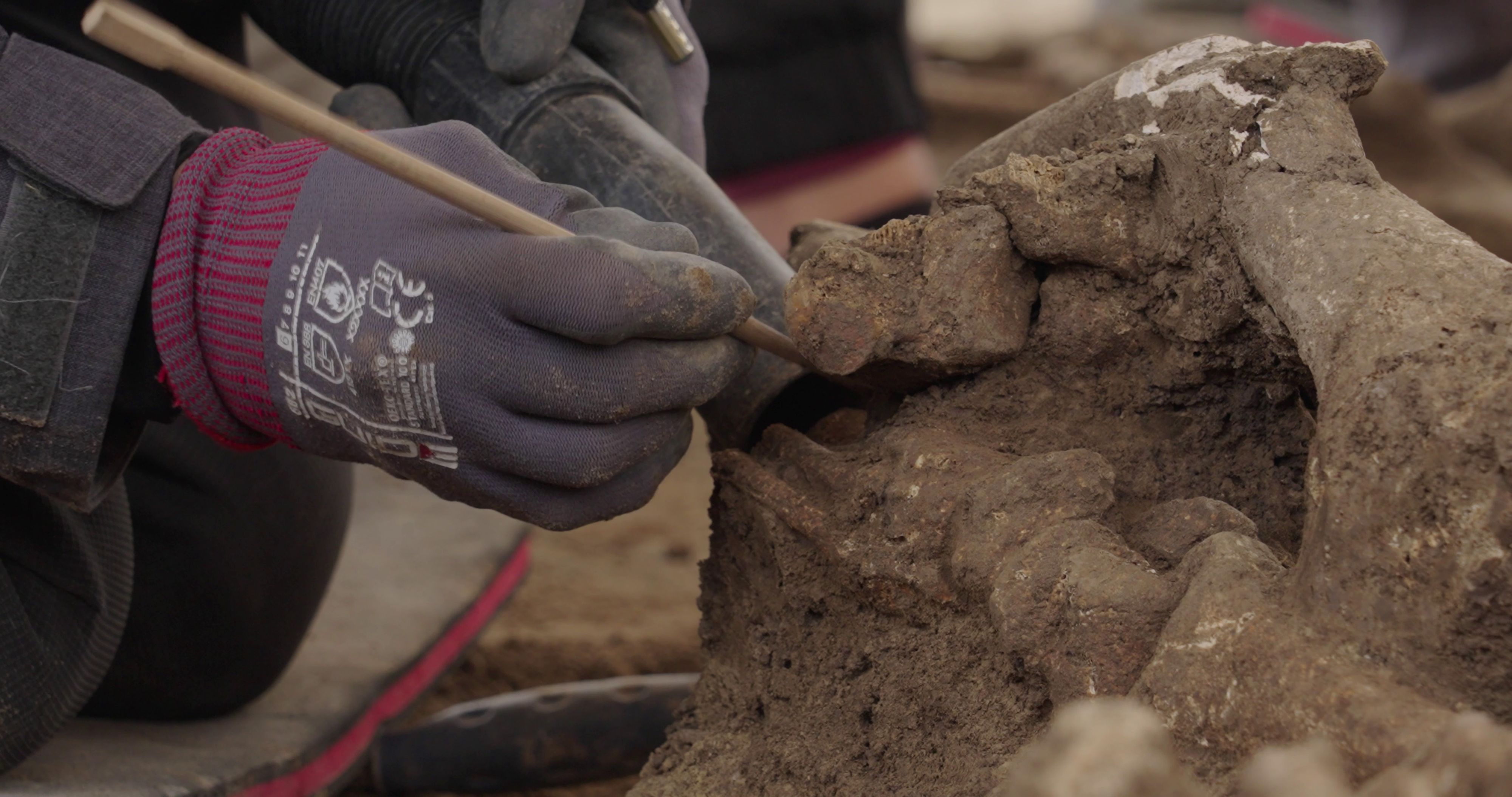 Das sind die Gebeine eines uralten Wieners in der Simmeringer Erde - Forscher erforschen die Knochen nun