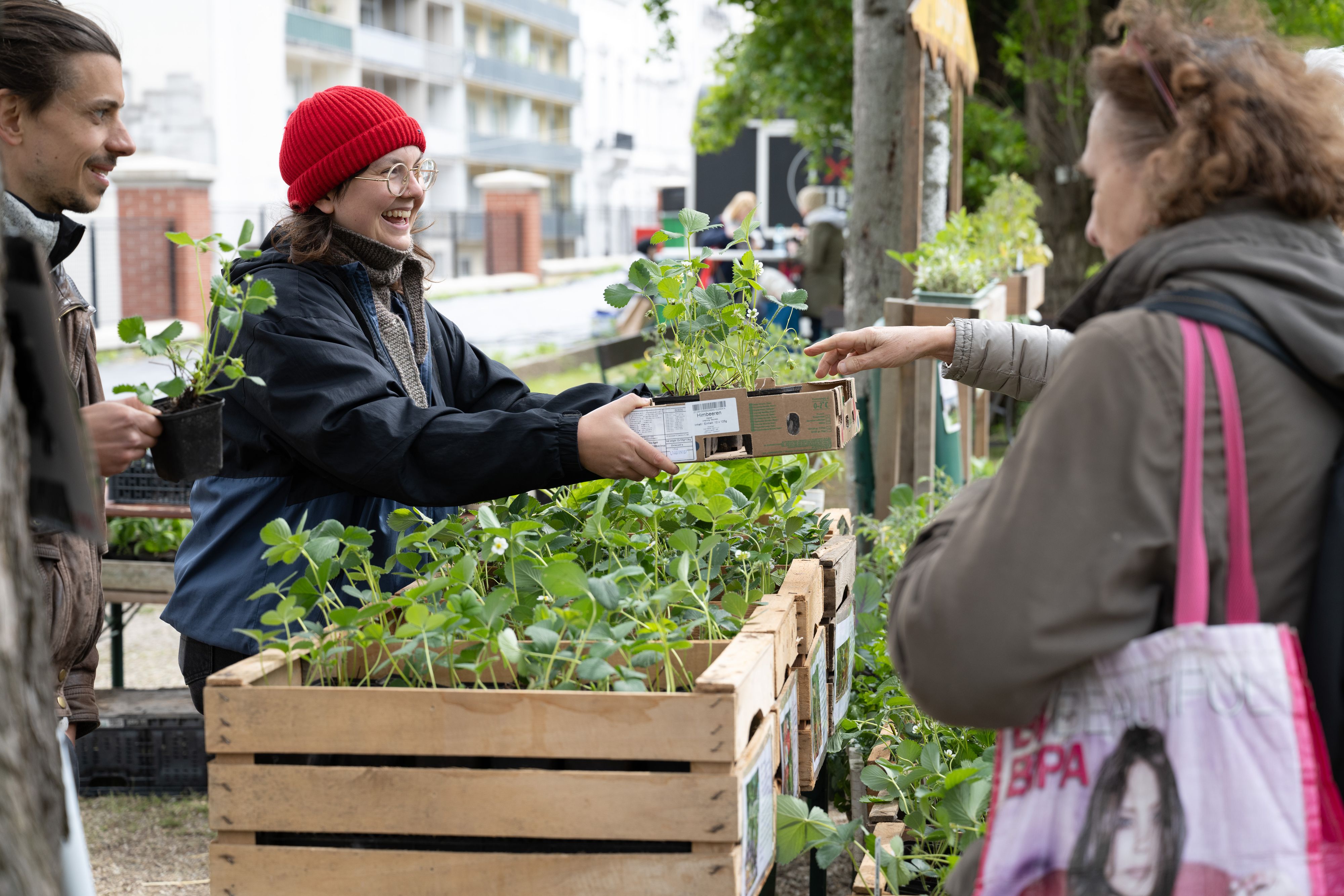 Hier treffen sich Pflanzenfreunde und Profis