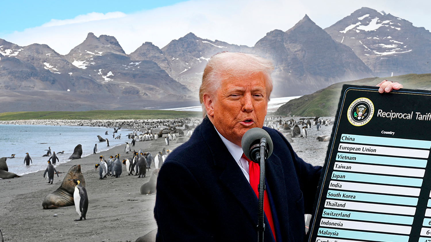 Die Pinguine landeten offenbar wegen einer Verwechslung mit einer österreichischen Firma auf Trumps Zoll-Liste.