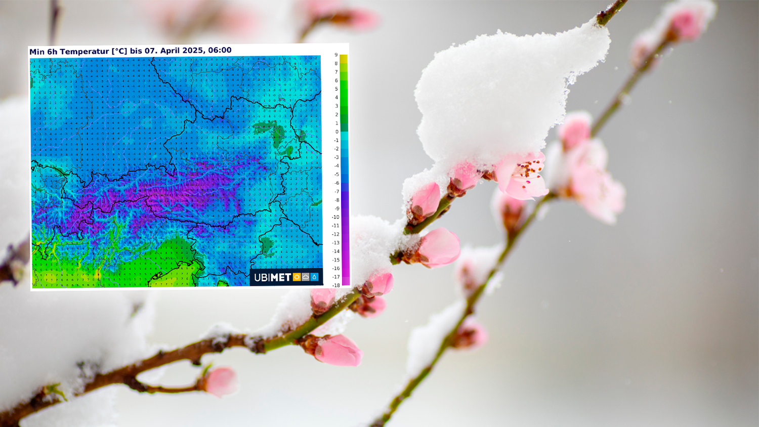 Ab Sonntag könnte es in Österreich zu verhängnisvollem Spätfrost kommen.